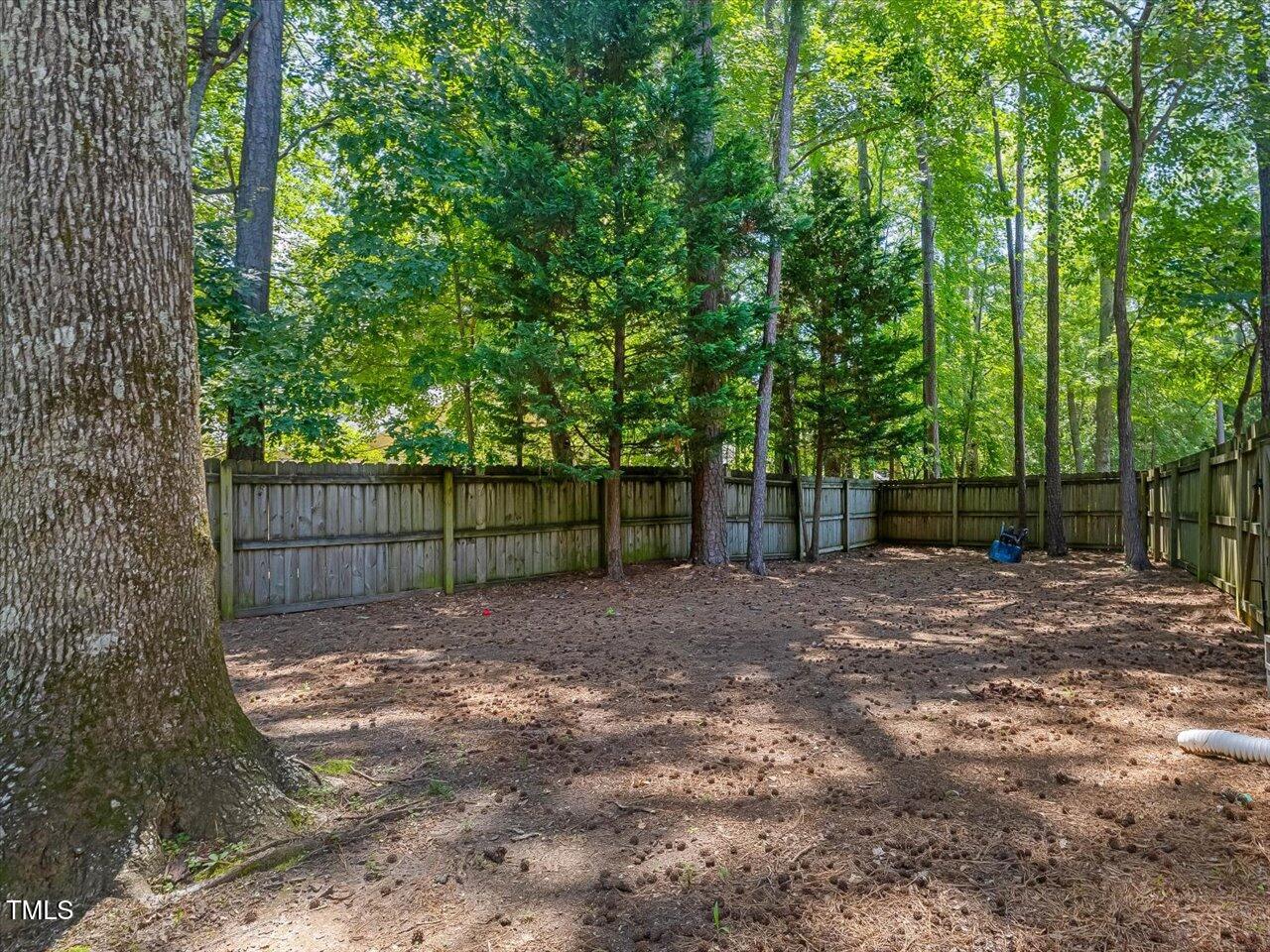 221 Antique Lace Way Property Photo 55