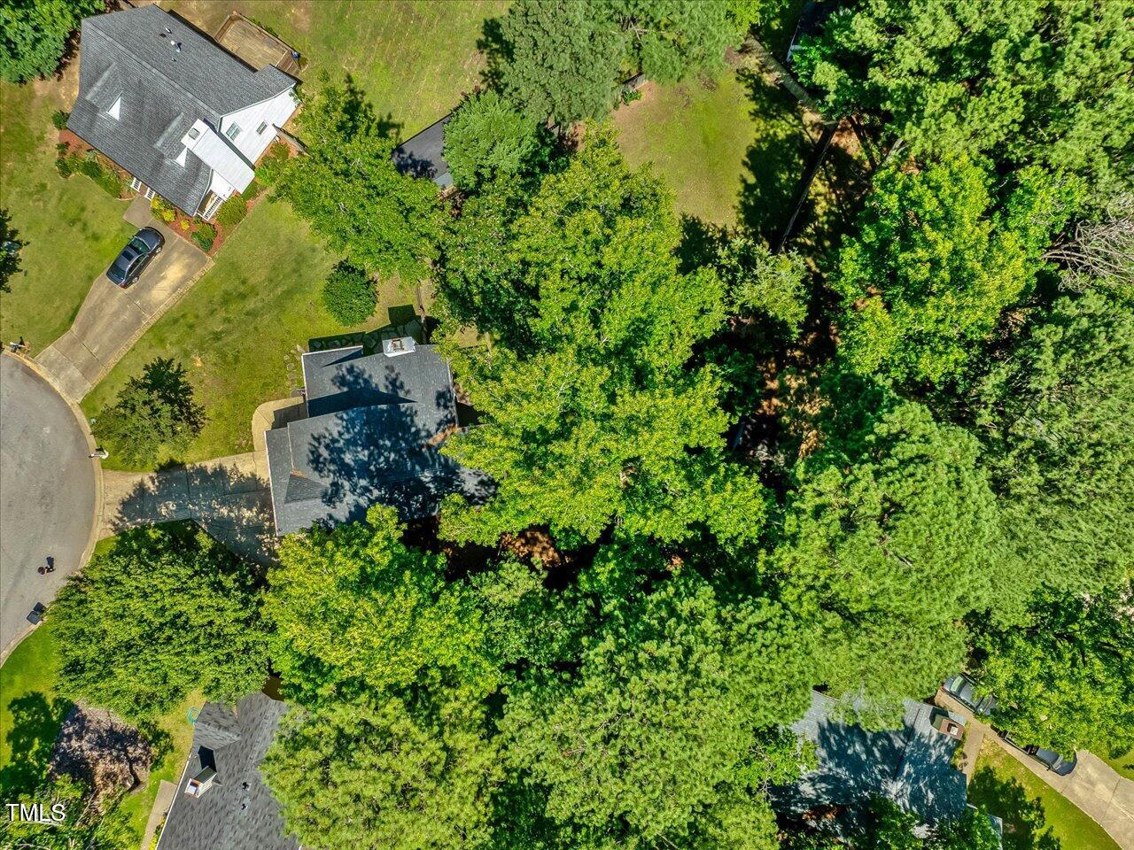221 Antique Lace Way Property Photo 63