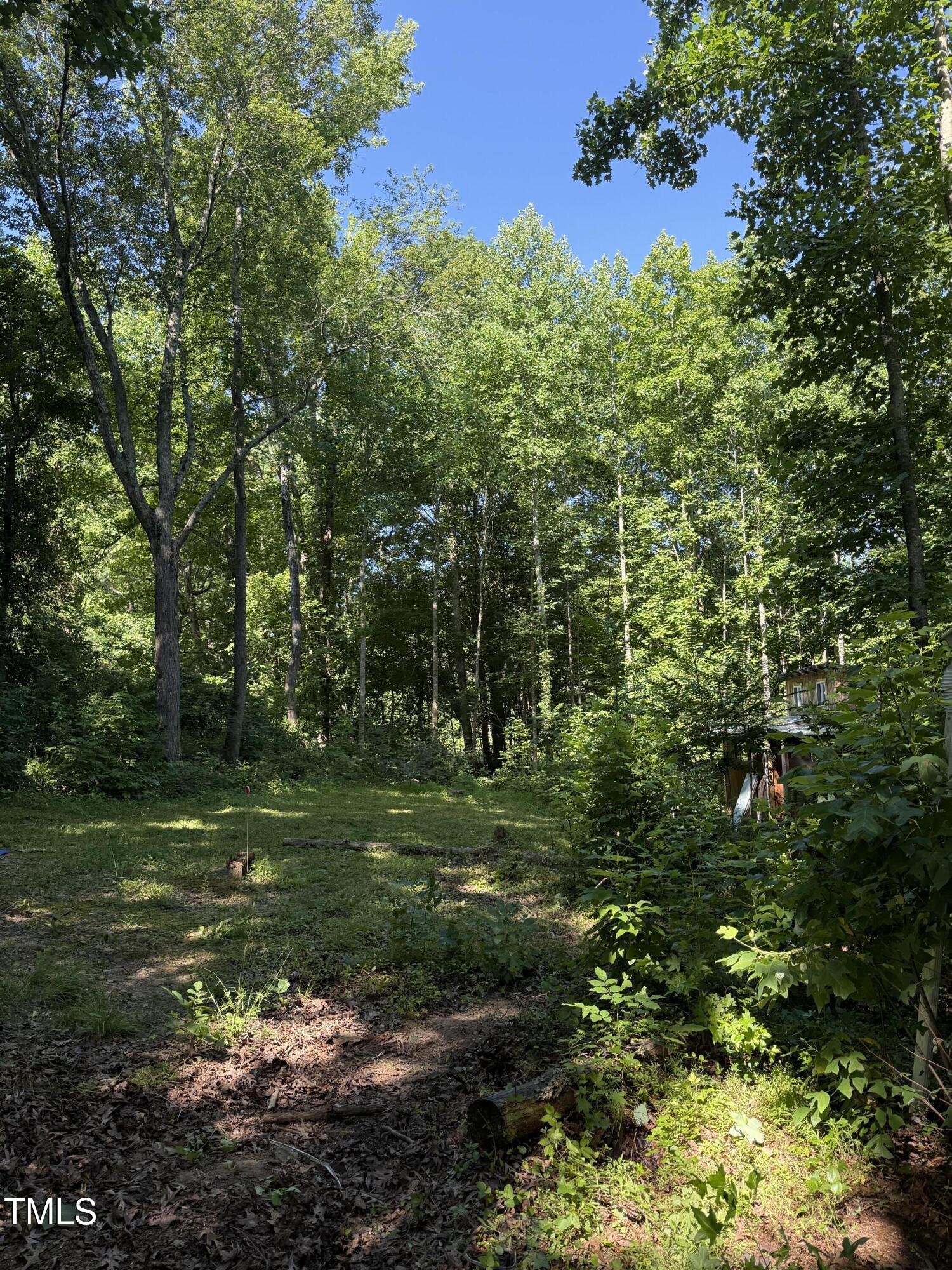 190 Louise Jenkins Road Property Photo 2