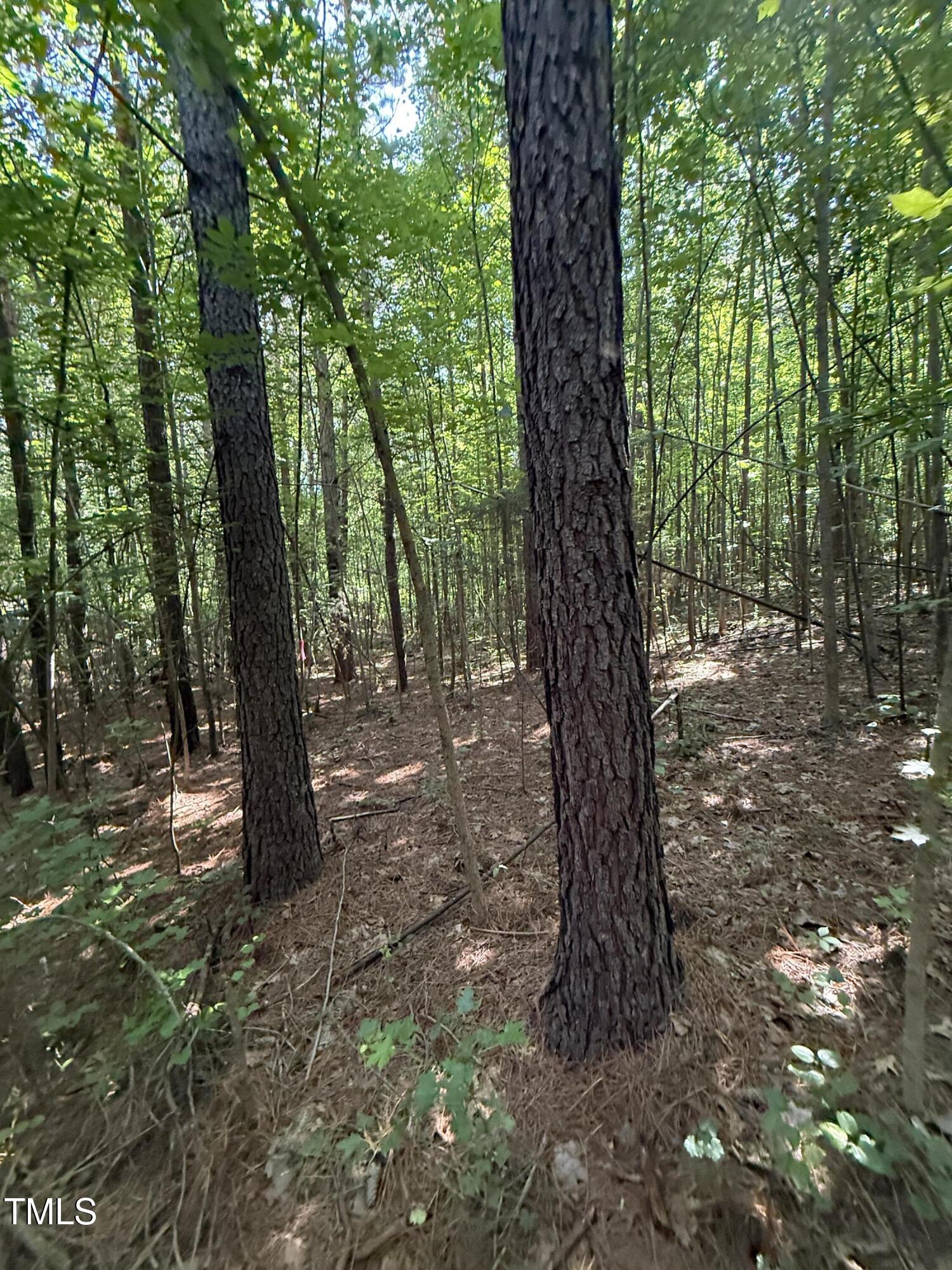 190 Louise Jenkins Road Property Photo 5