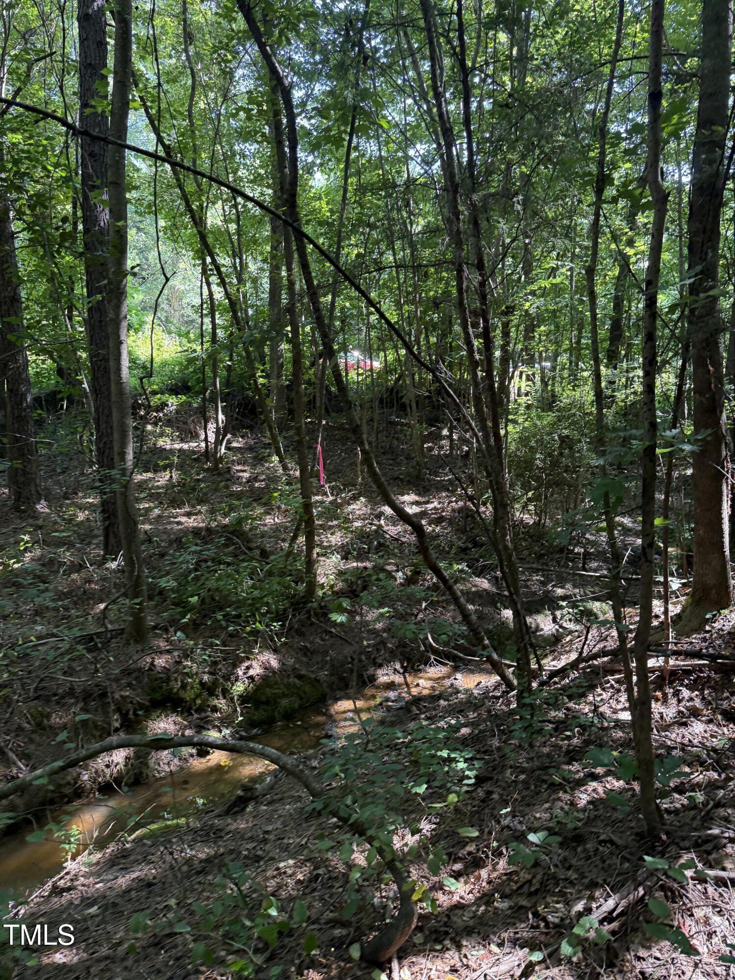 190 Louise Jenkins Road Property Photo 6