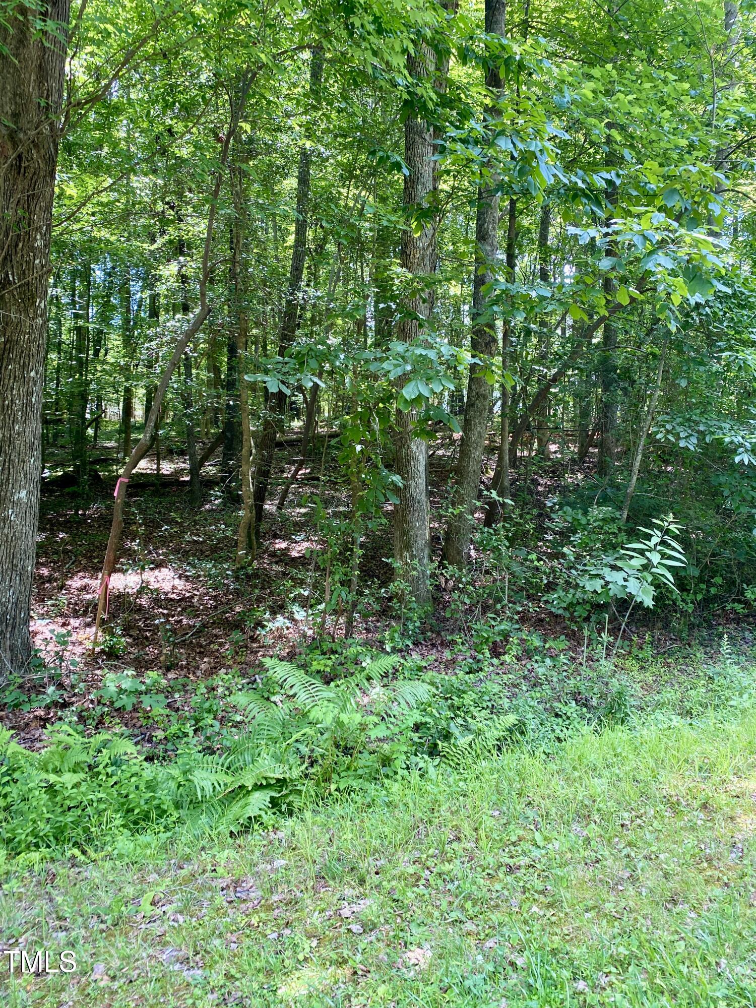 106 Cherokee Drive Property Photo 3