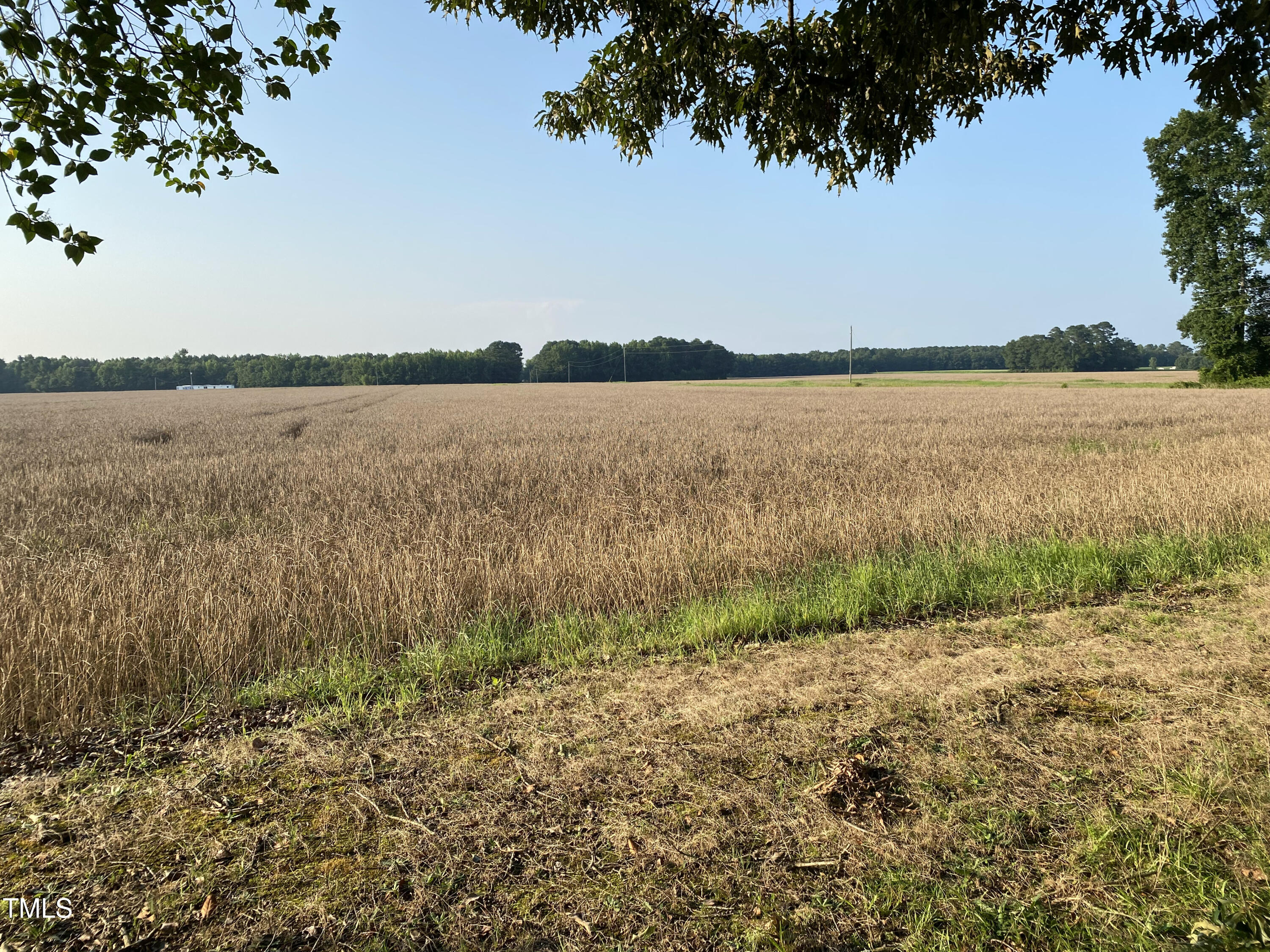 2328 Page Rd Road Property Photo 1