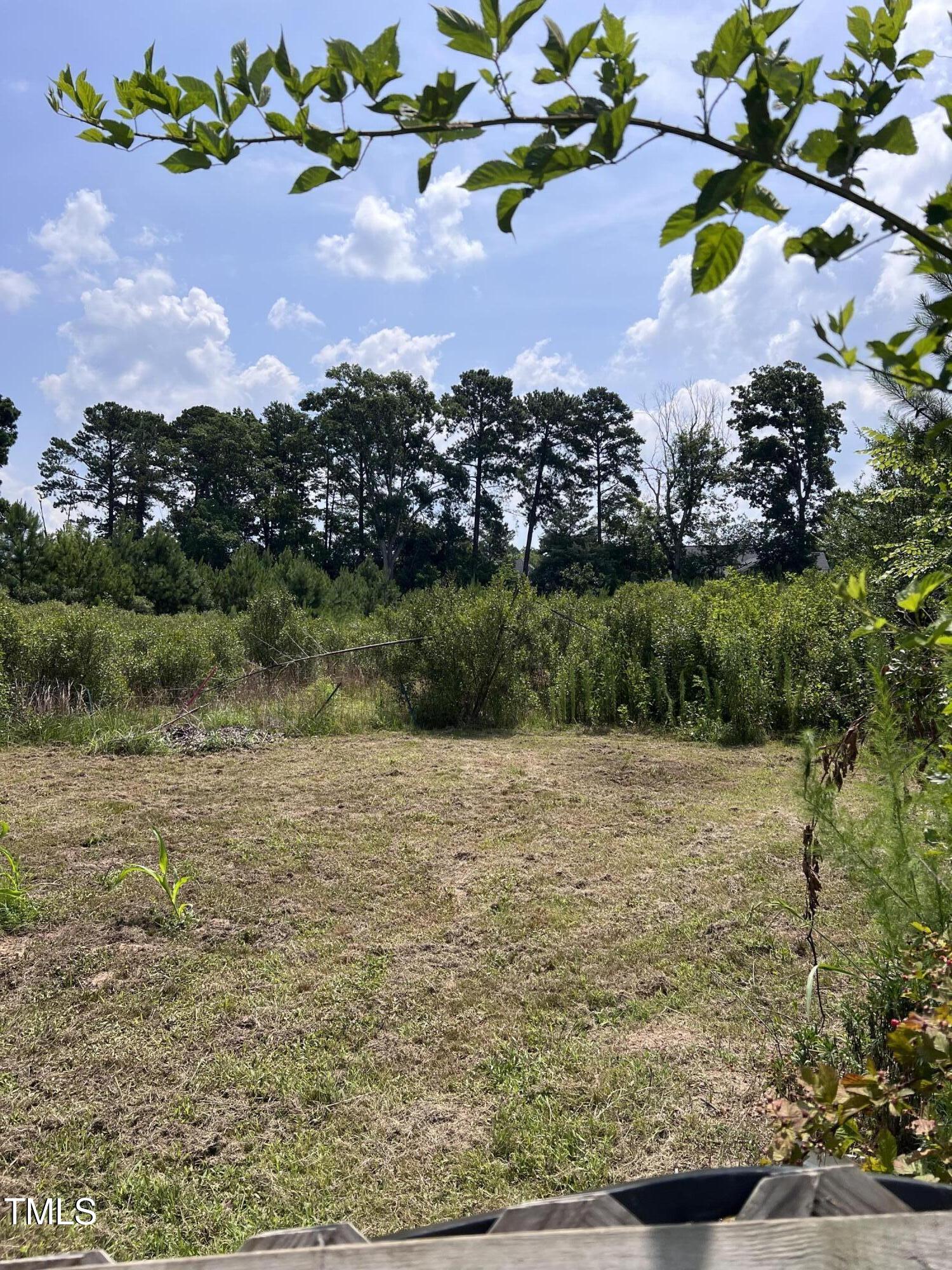 1624 Wilson Road Property Photo 1