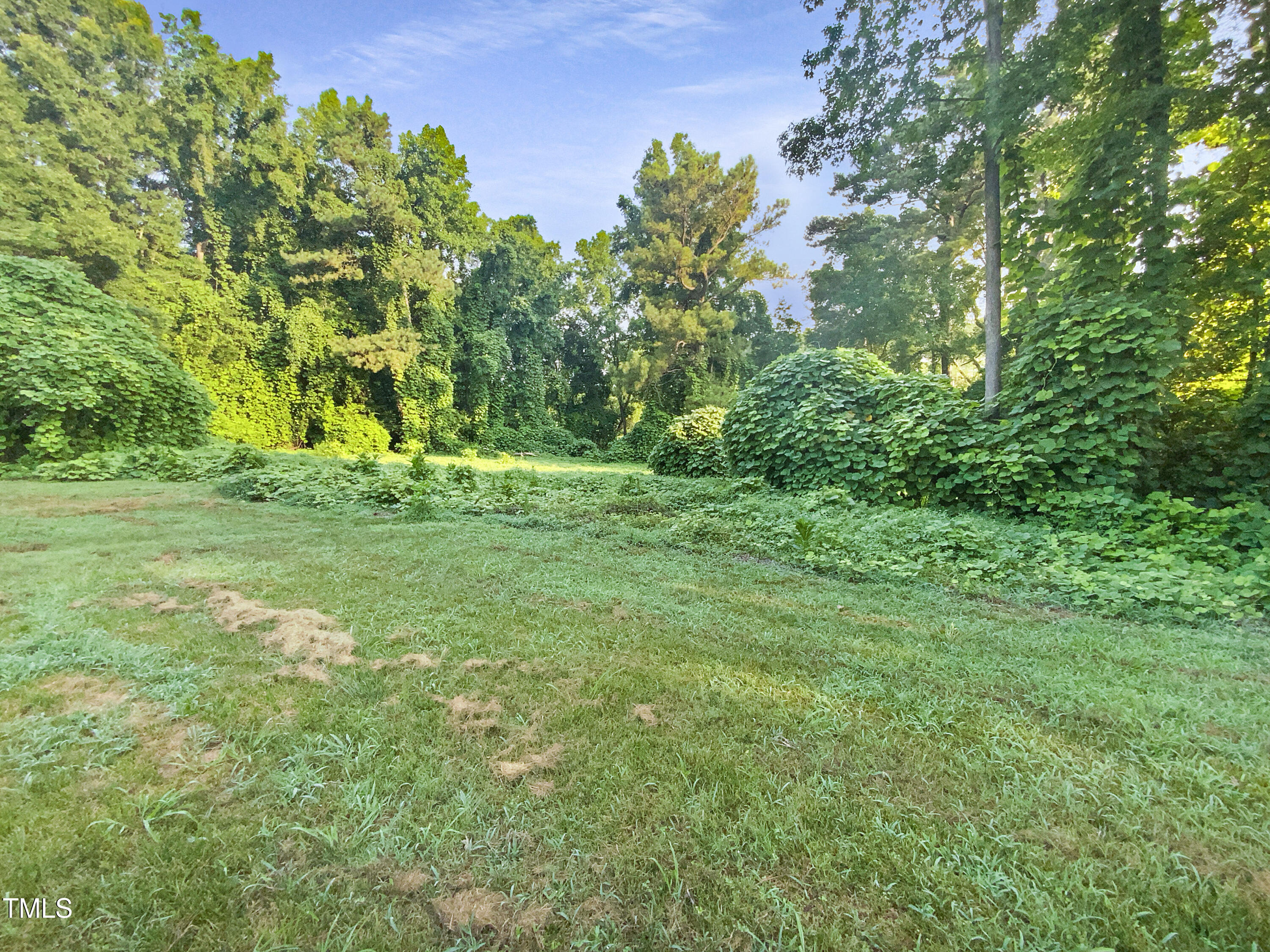 448 Chinaberry Lane Property Photo 19