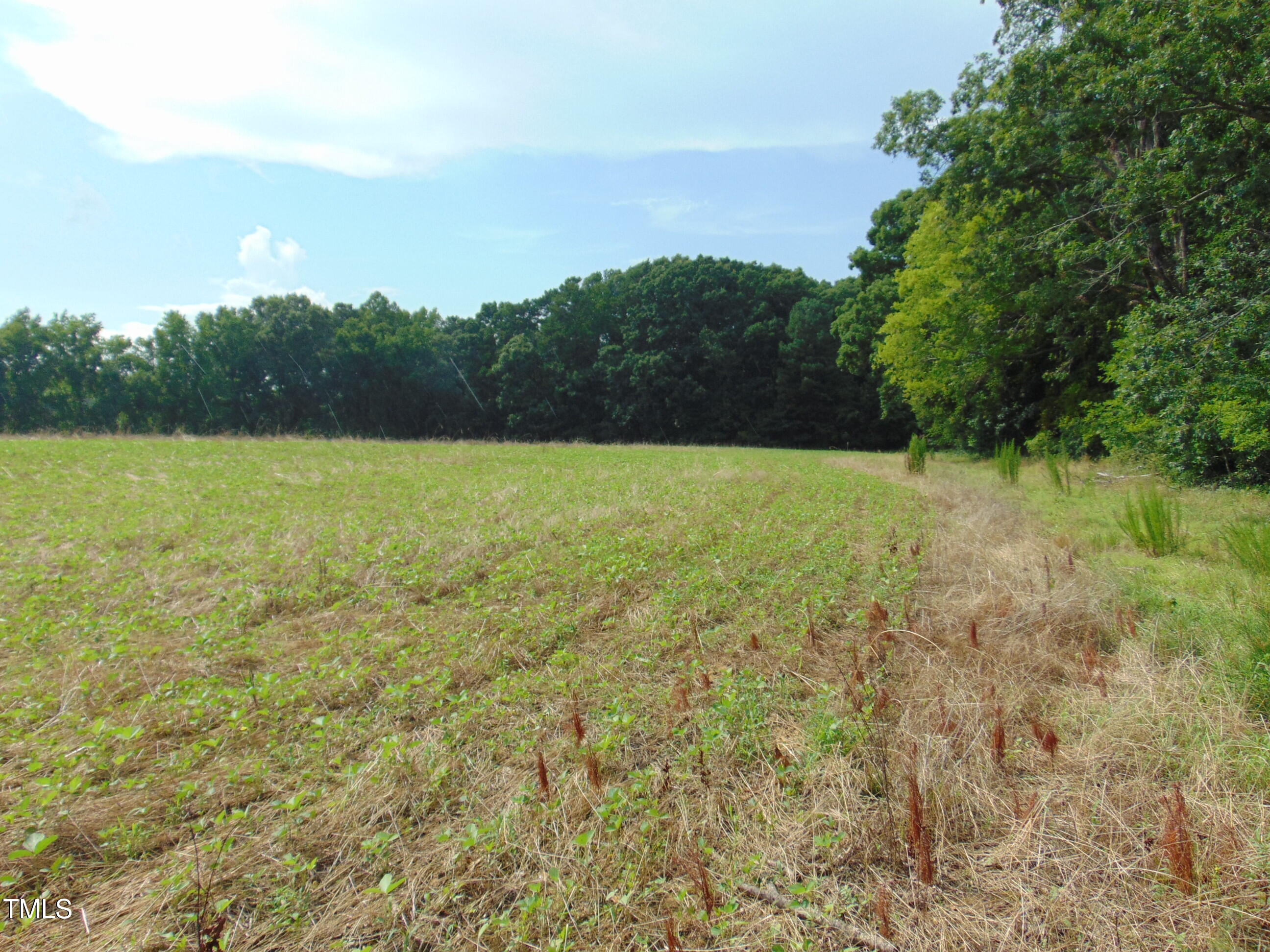 00 Epps Fork Road Property Photo 3