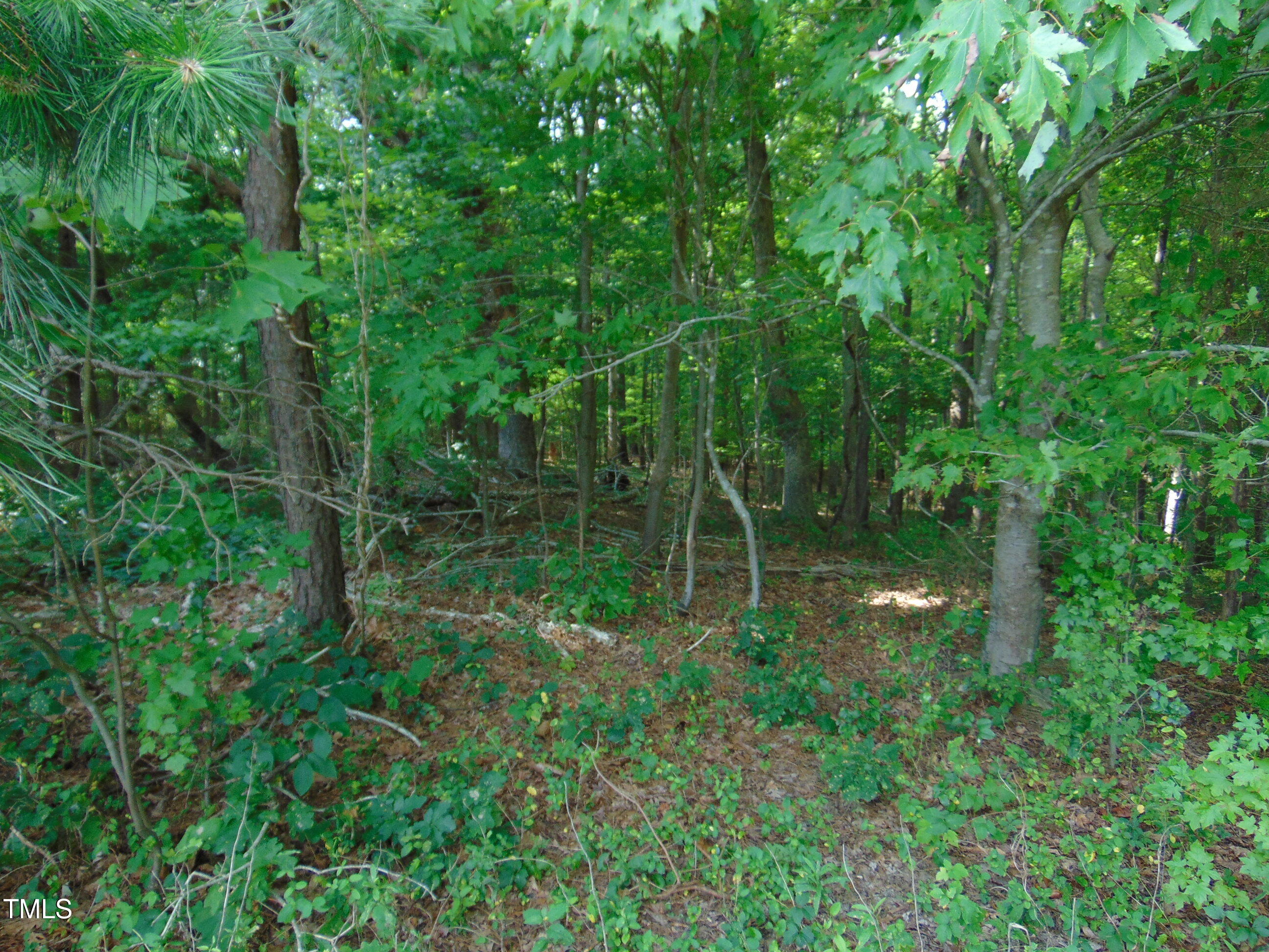 00 Epps Fork Road Property Photo 4