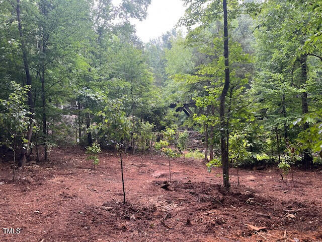 5500 Nc Hwy 86 Property Photo 14