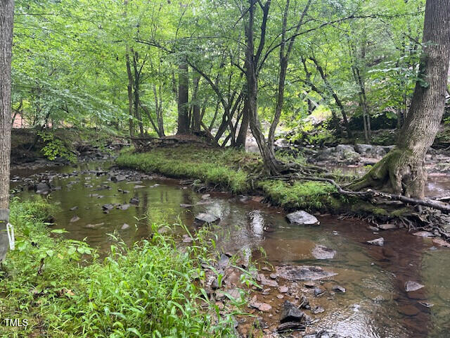 5500 Nc Hwy 86 Property Photo 15