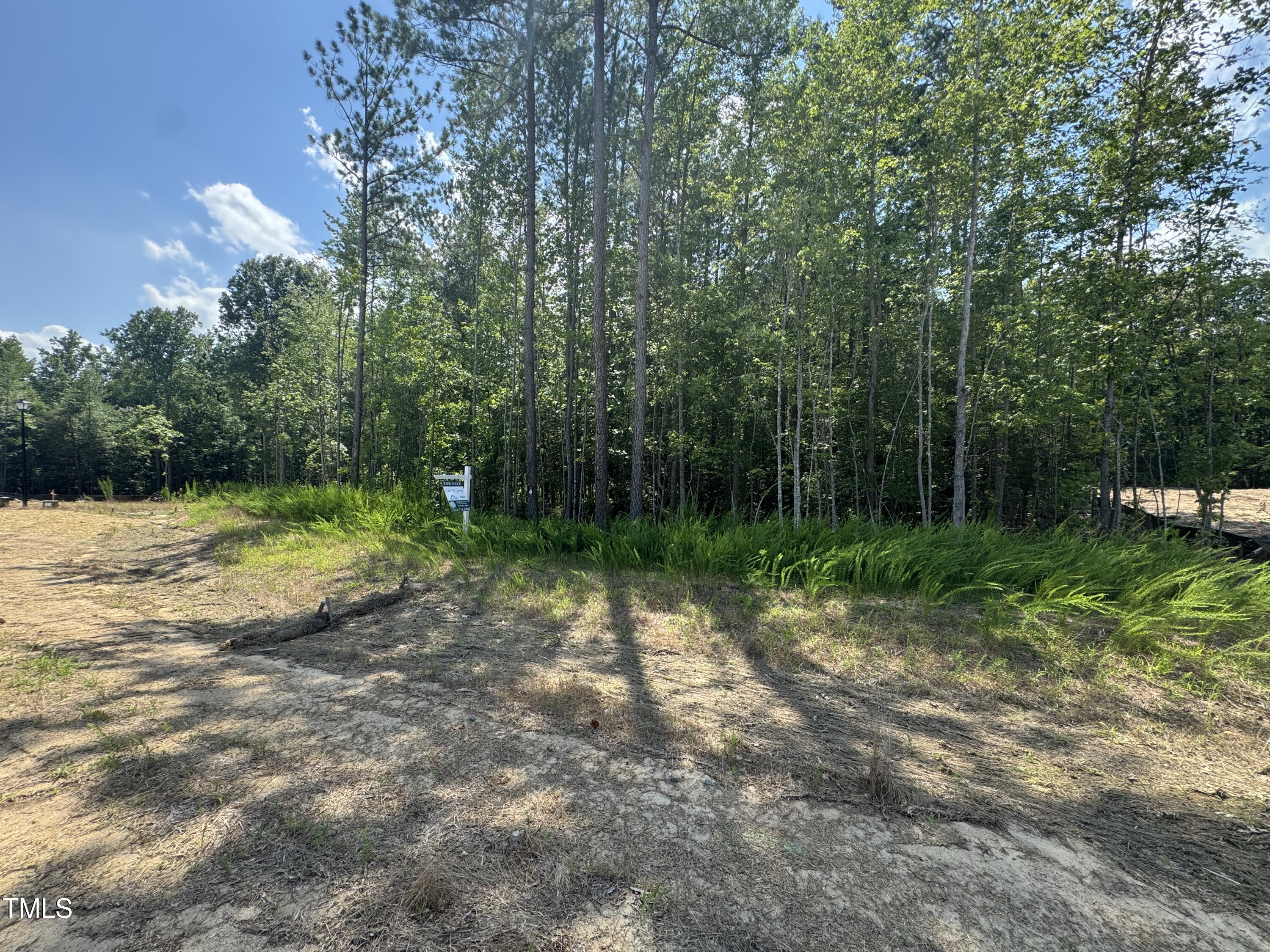 4348 Coldwater Springs Drive Property Photo 4