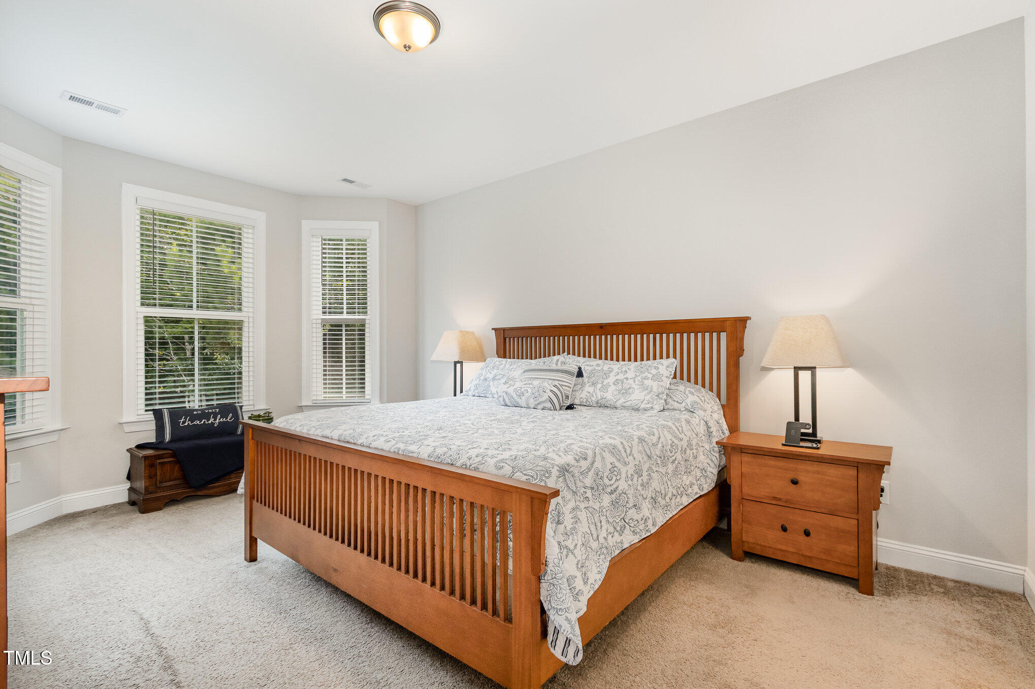 210 Olde Liberty Drive Property Photo 3