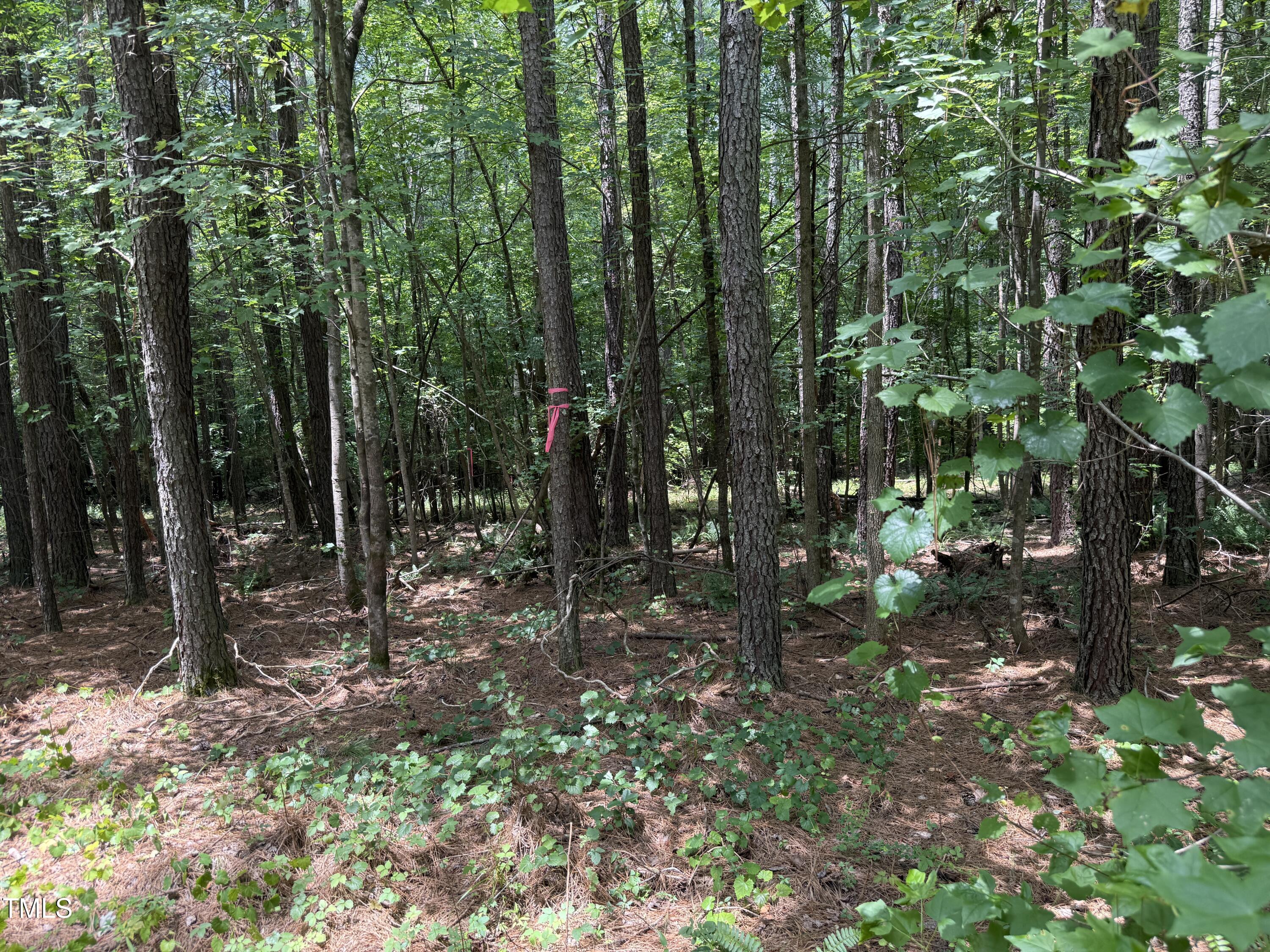 3830 Furrow Lane Property Photo 8