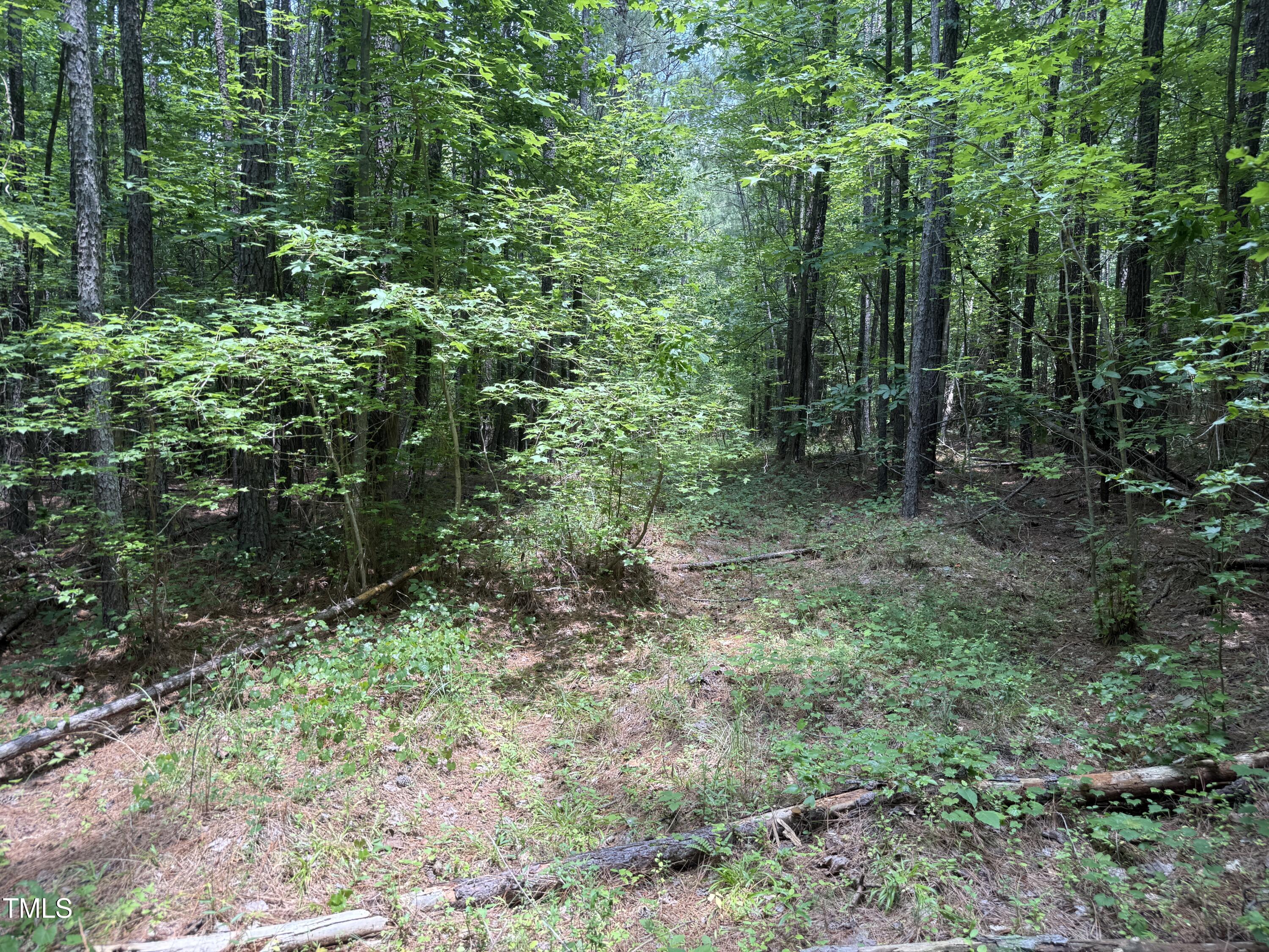 3830 Furrow Lane Property Photo 9