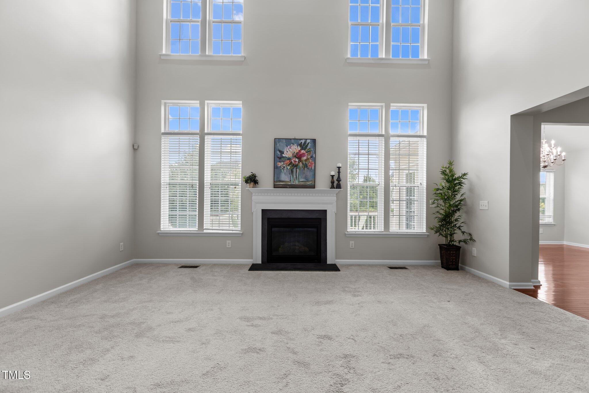 316 Hilliard Forest Drive Property Photo 16