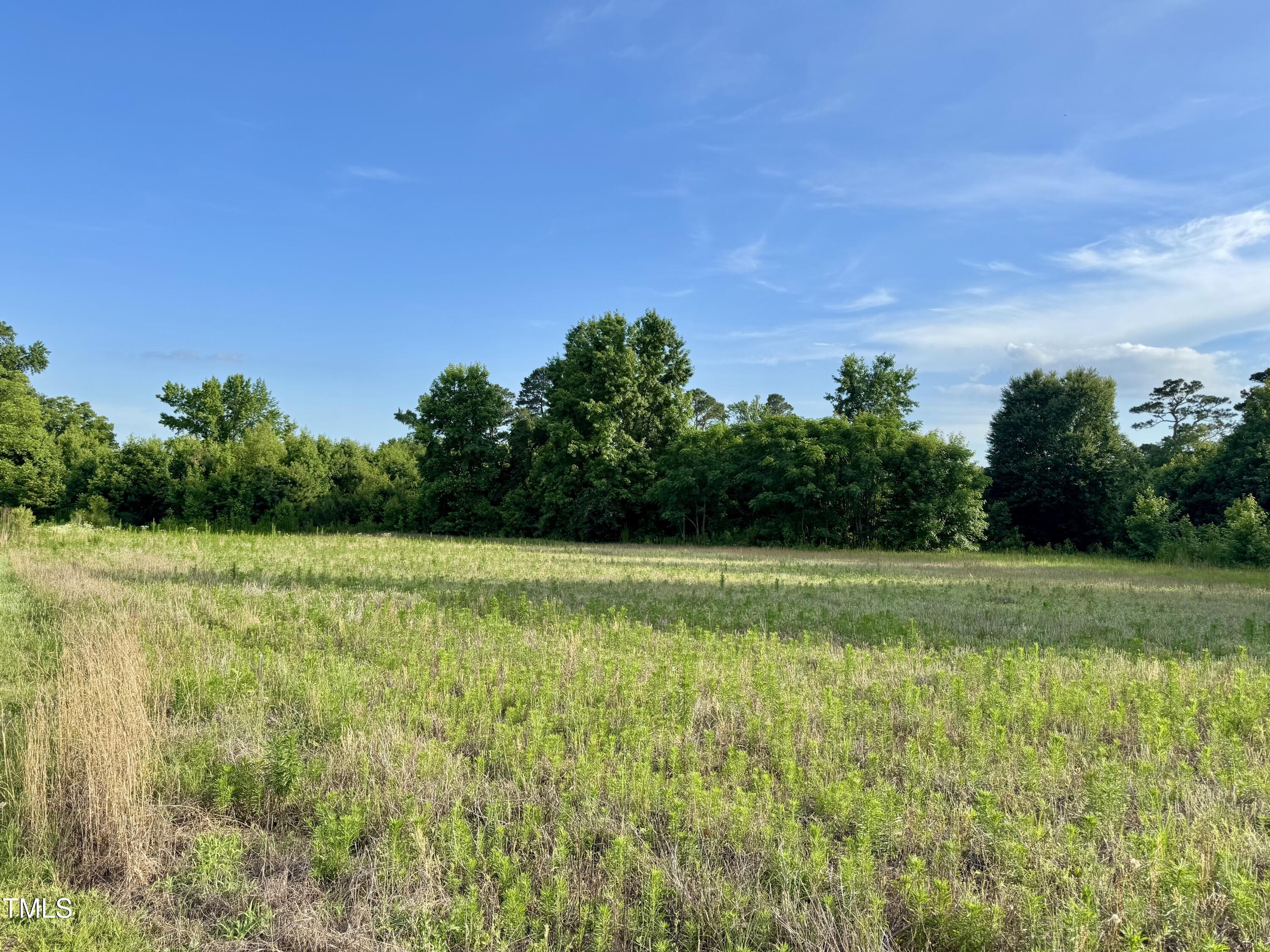 3371 Baileys Crossroads Road Property Photo 8