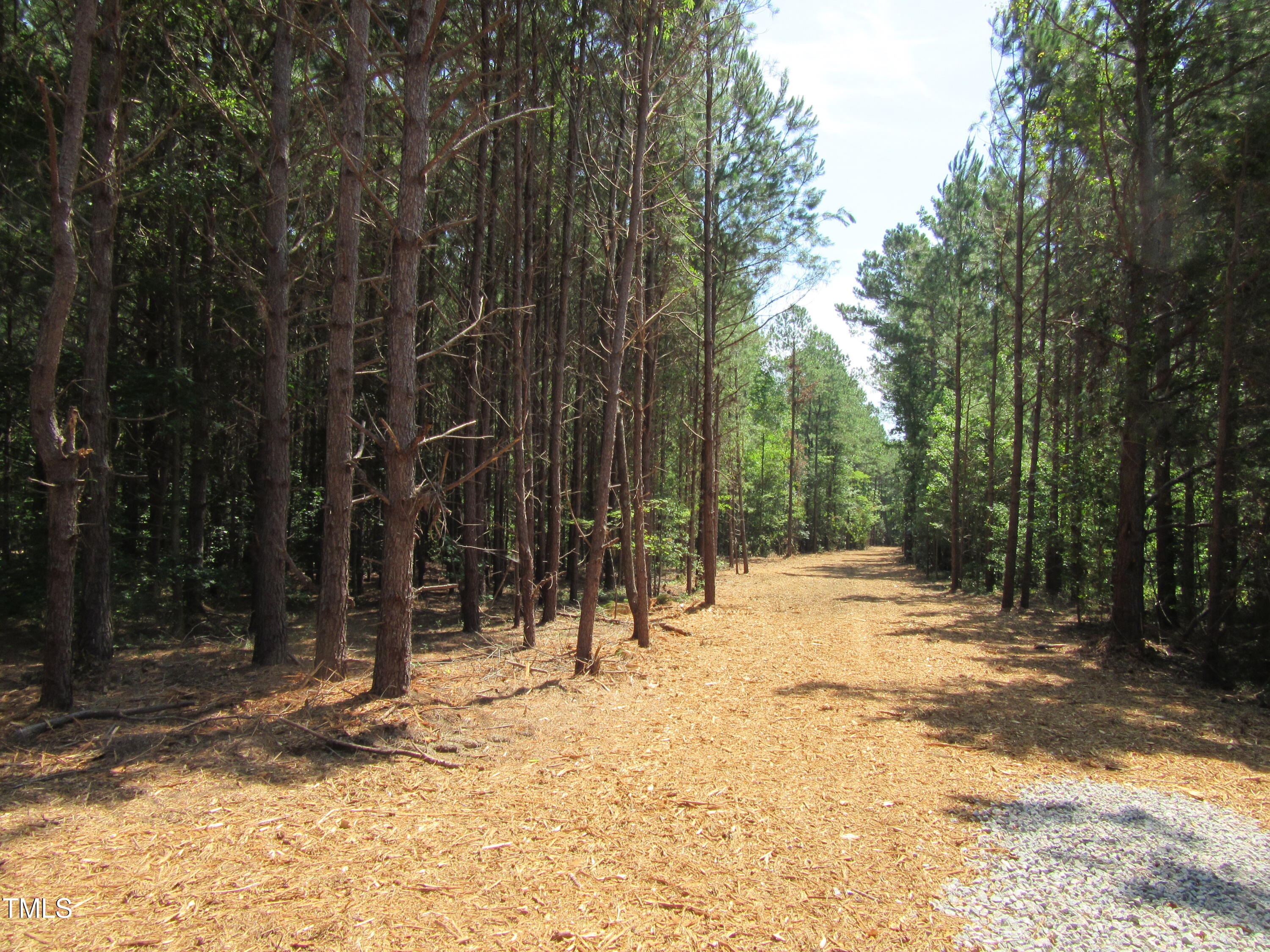 6.1 Acres Frazier Road Property Photo 3