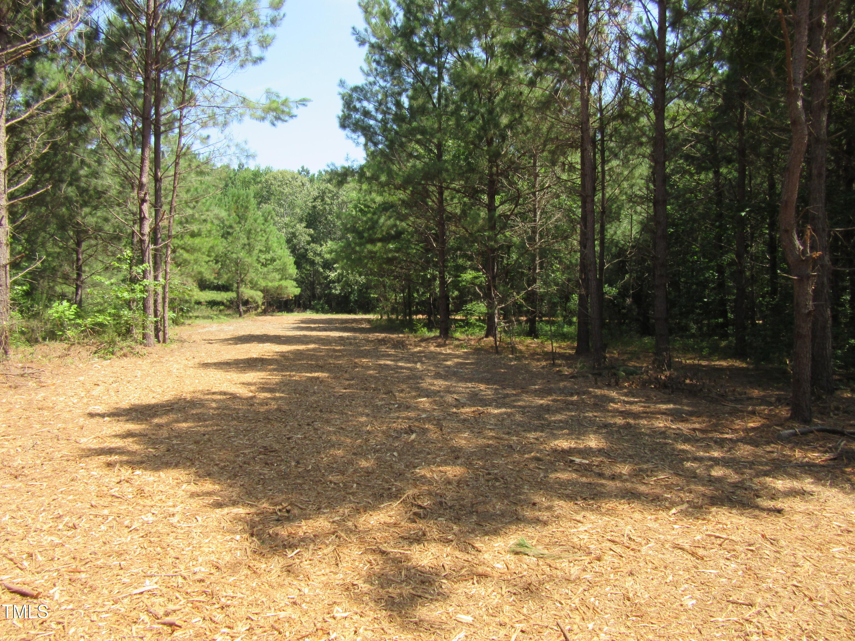 6.1 Acres Frazier Road Property Photo 4
