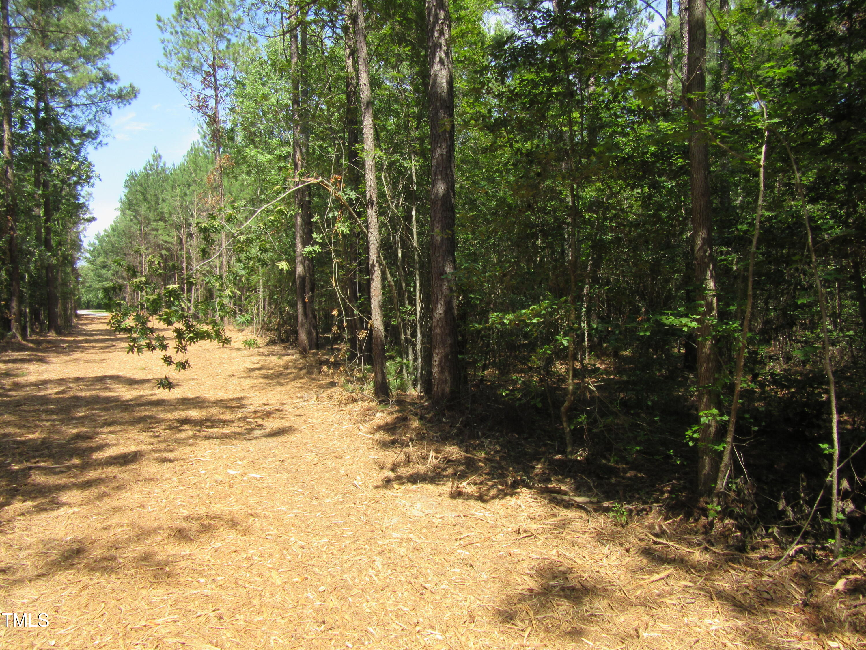 6.1 Acres Frazier Road Property Photo 5