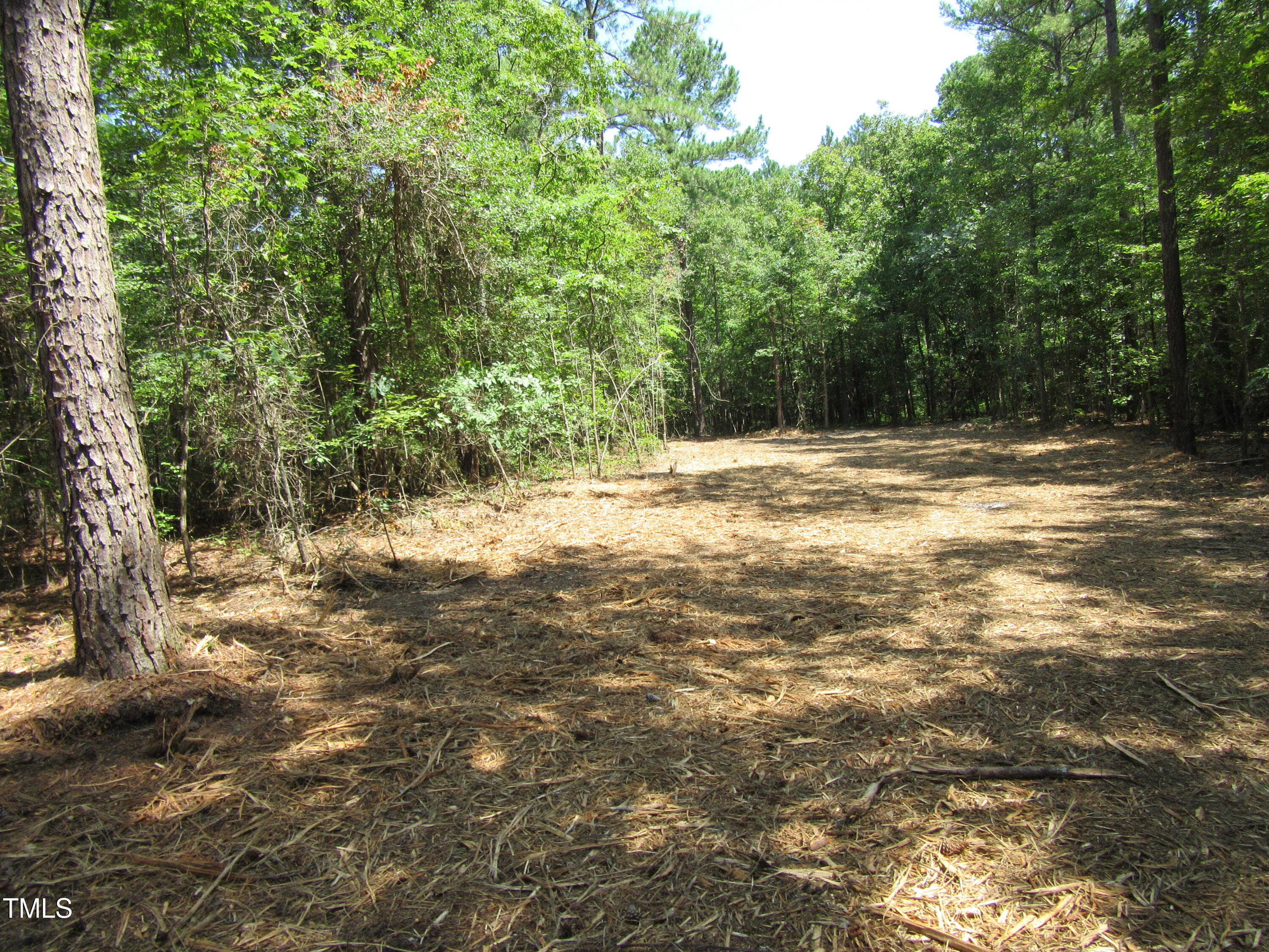 6.1 Acres Frazier Road Property Photo 6