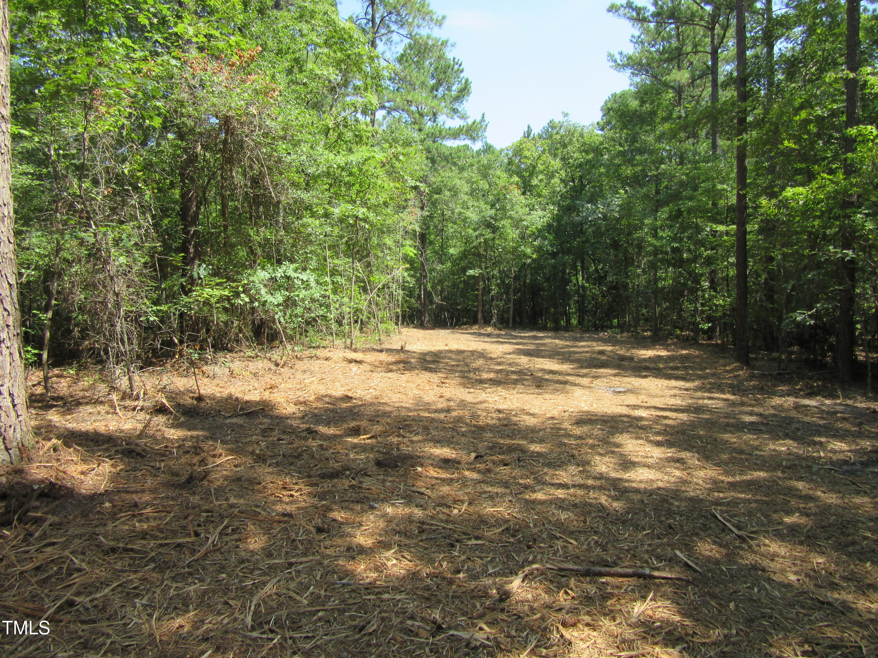 6.1 Acres Frazier Road Property Photo 7