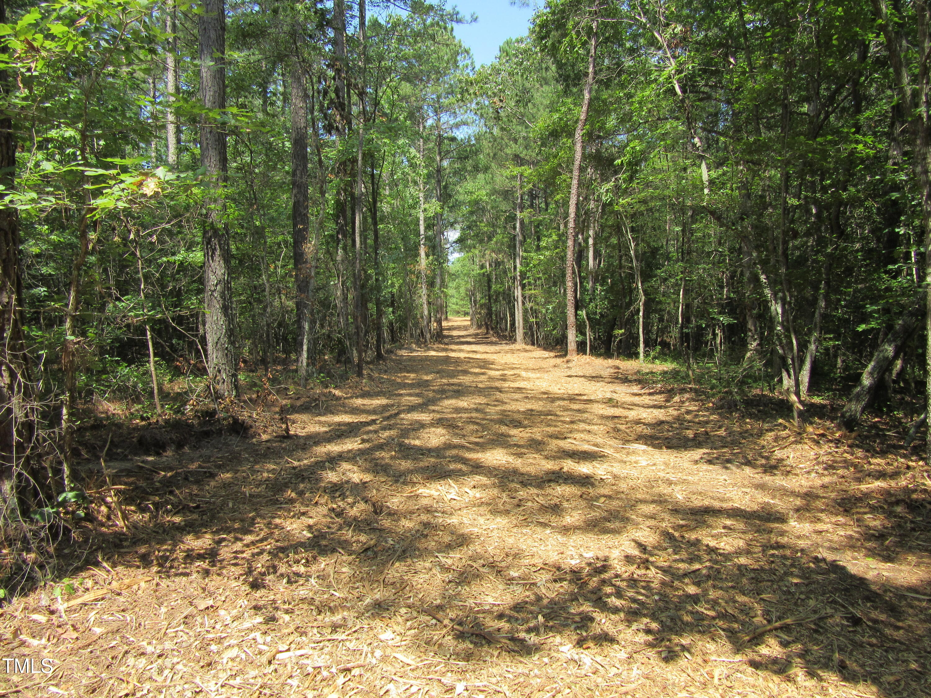 6.1 Acres Frazier Road Property Photo 8