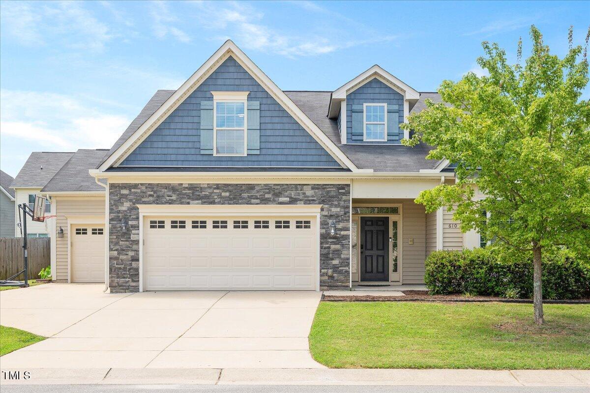 610 Silk Tree