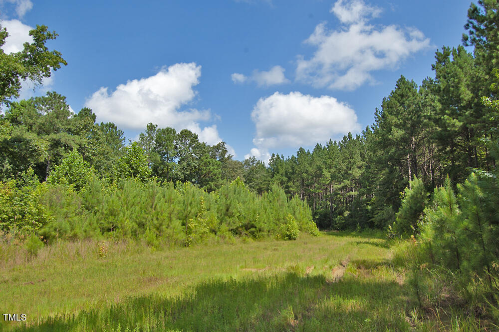 0 Buckhorn Road Property Photo 1