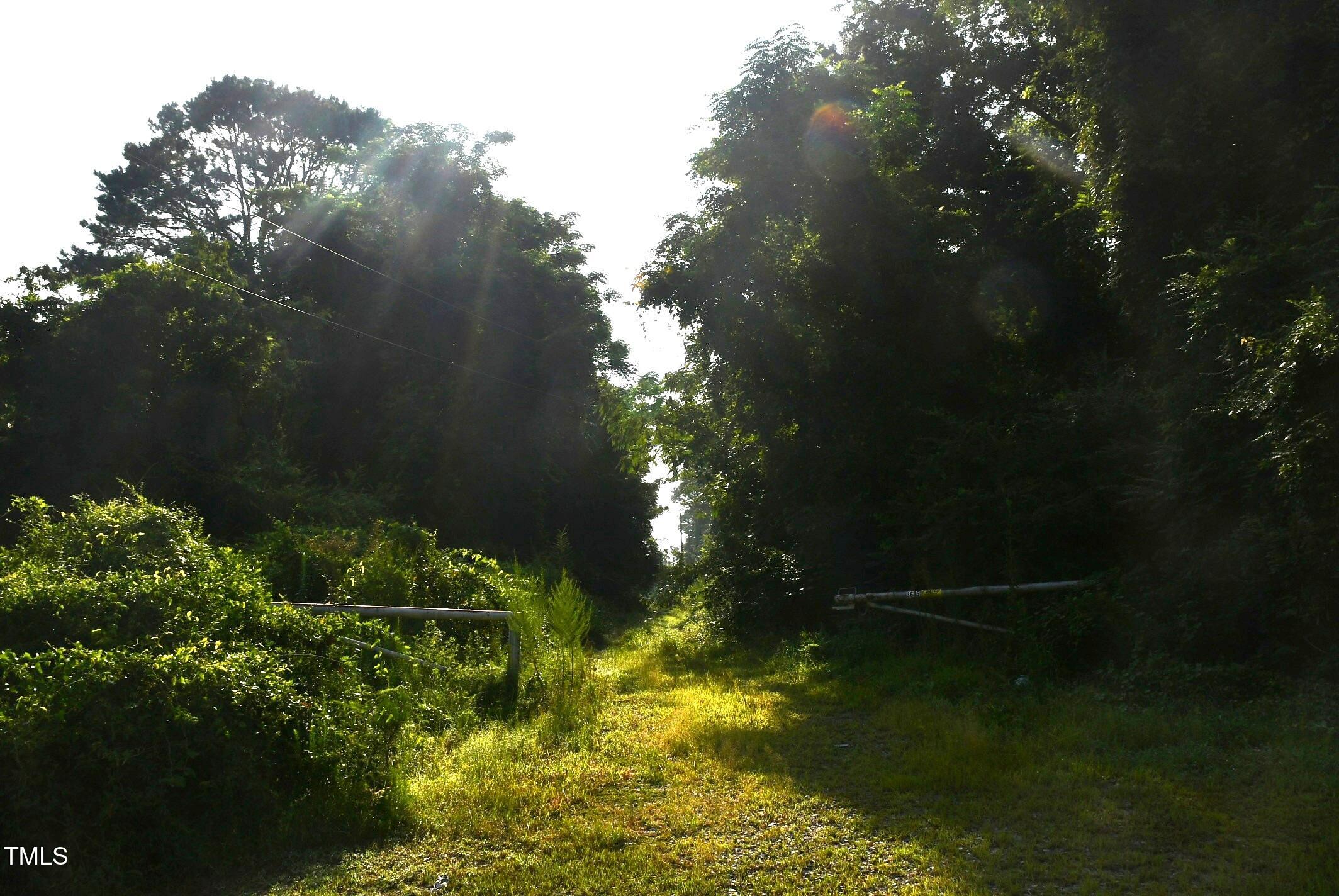 3635 S Us 117 Alt Highway Property Photo 6