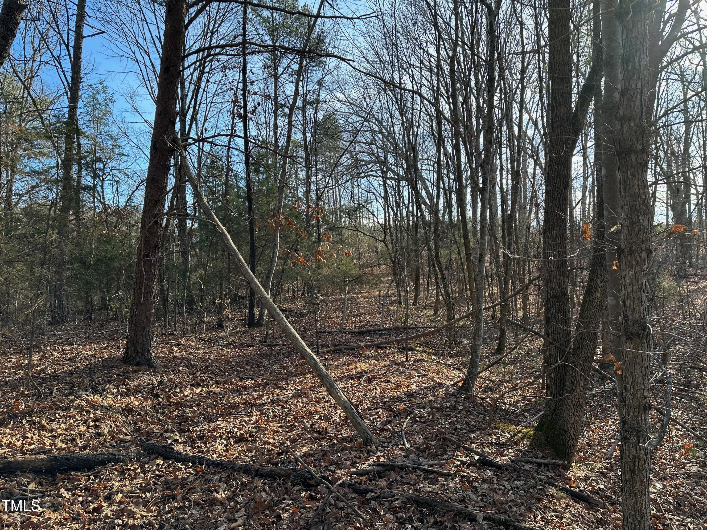 0 Us 64 Highway Property Photo 1