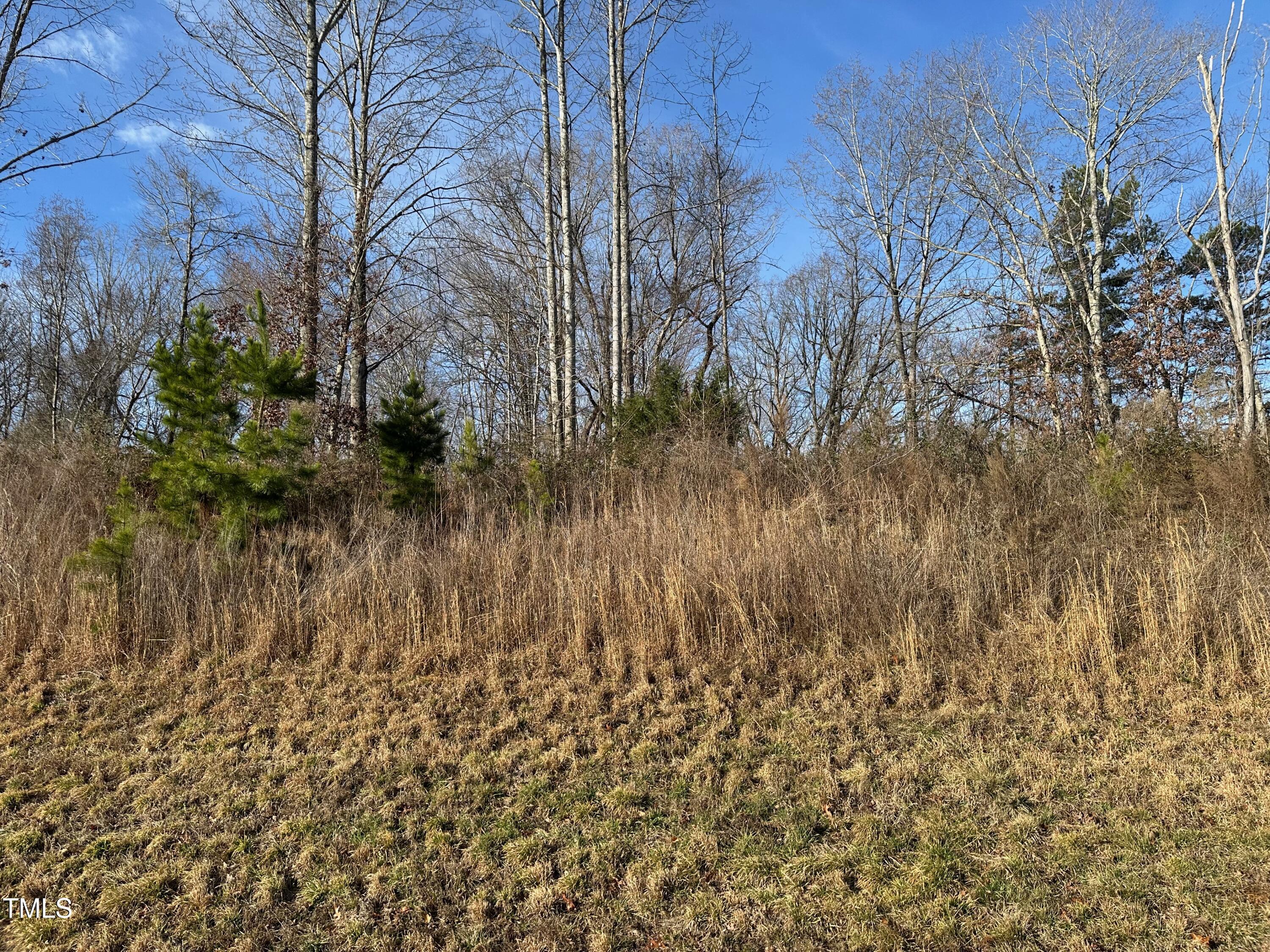 0 Us 64 Highway Property Photo 3
