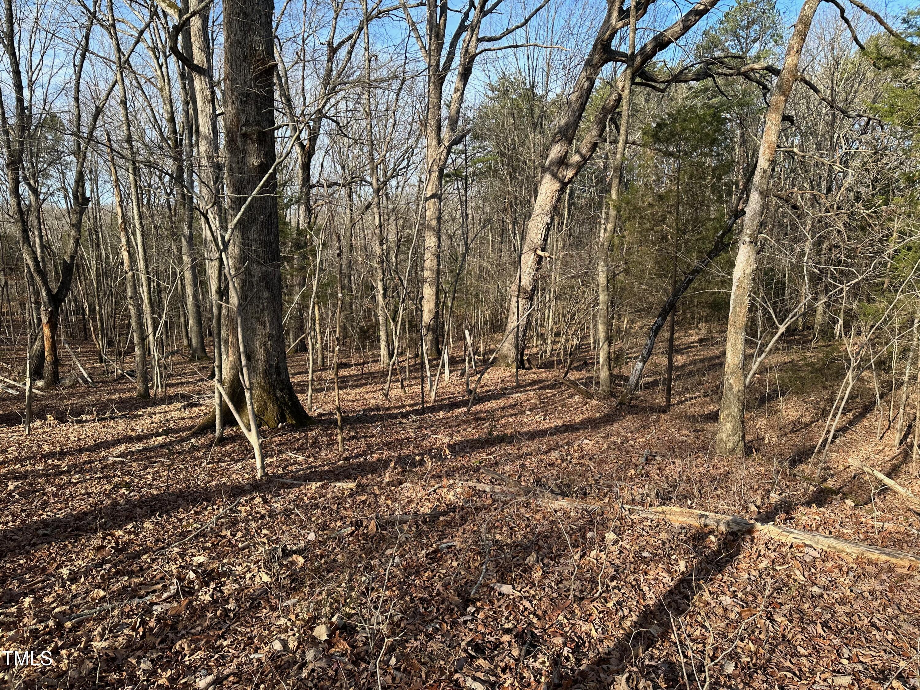0 Us 64 Highway Property Photo 11