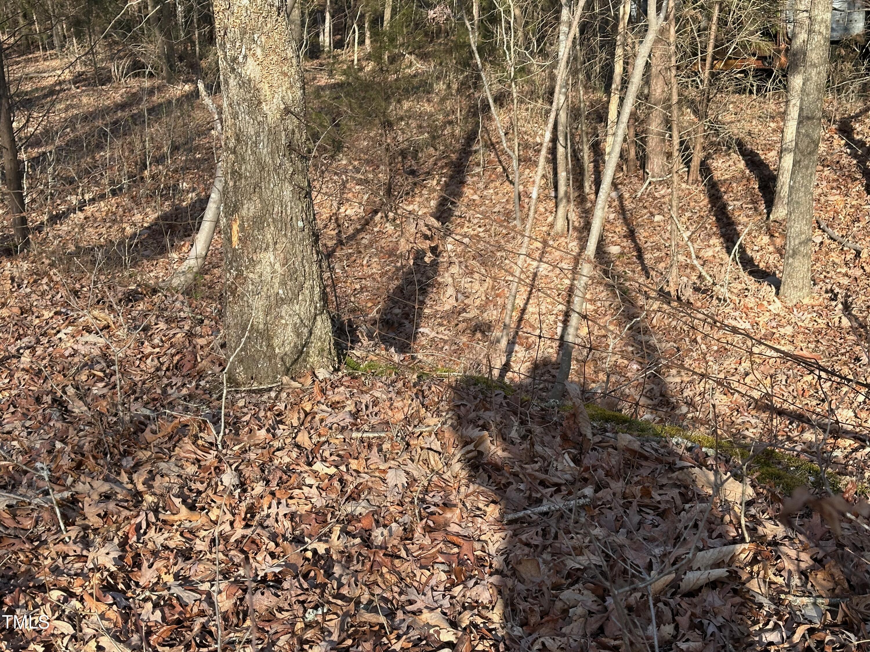 0 Us 64 Highway Property Photo 14