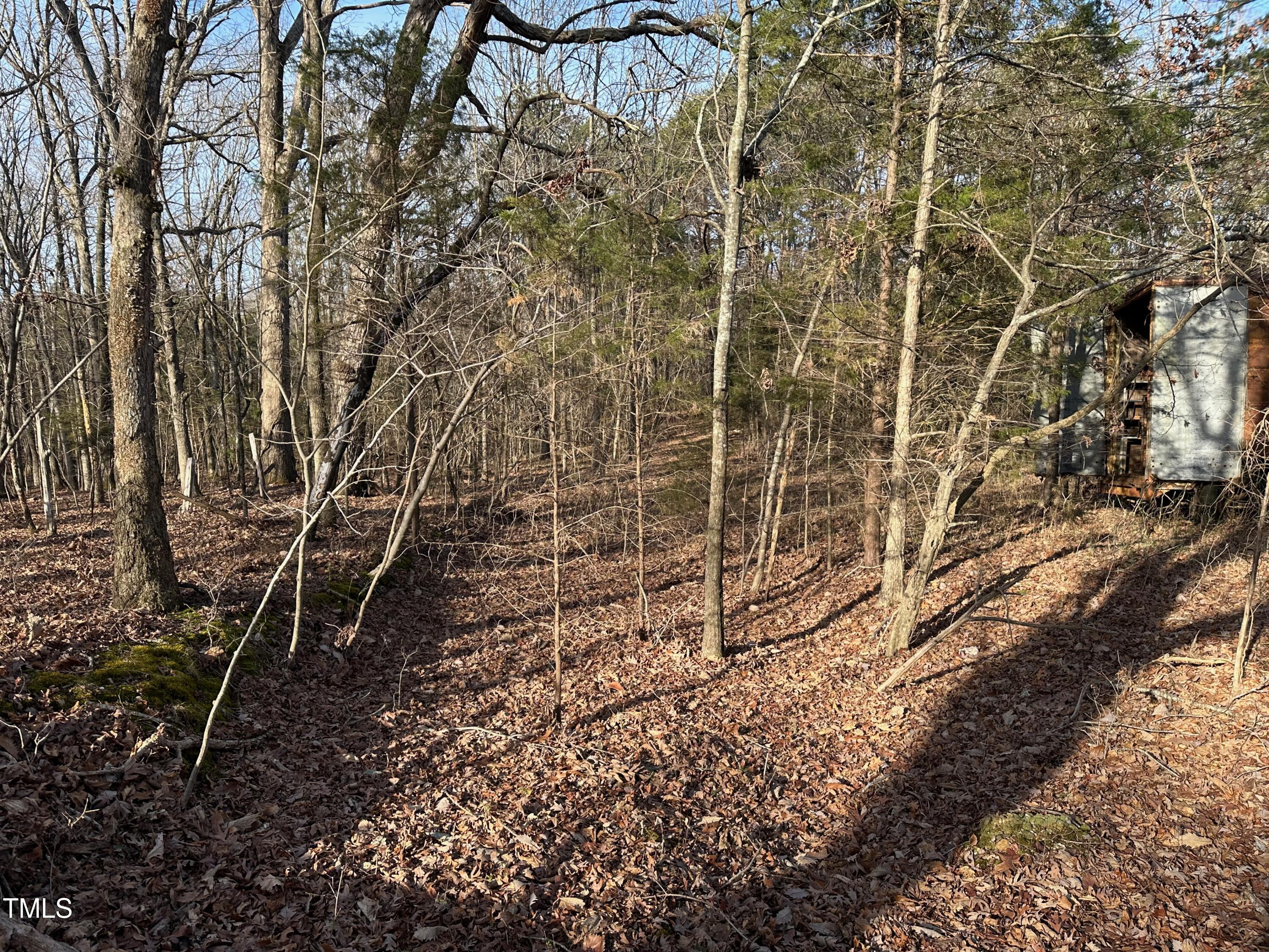 0 Us 64 Highway Property Photo 15