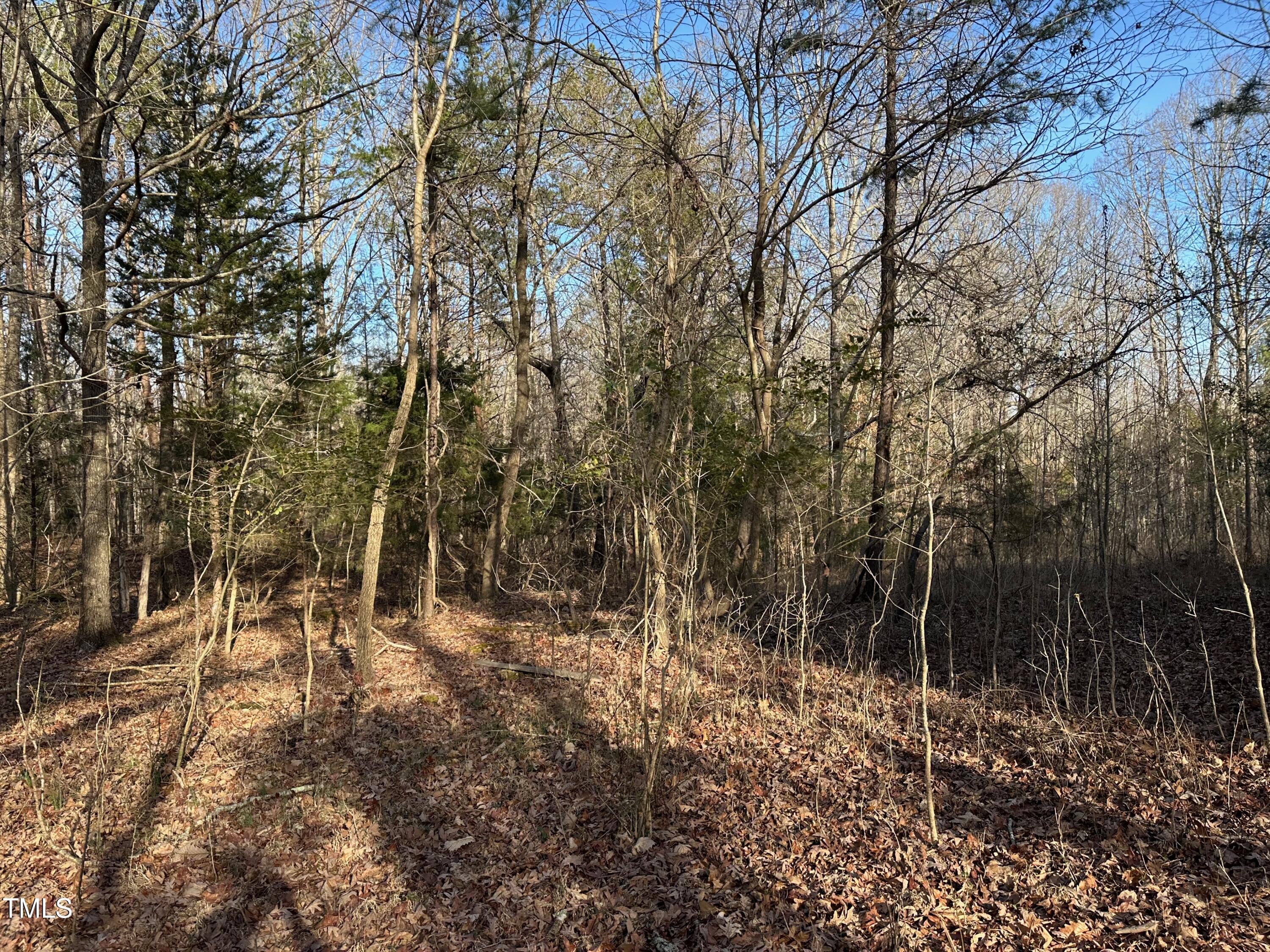 0 Us 64 Highway Property Photo 17