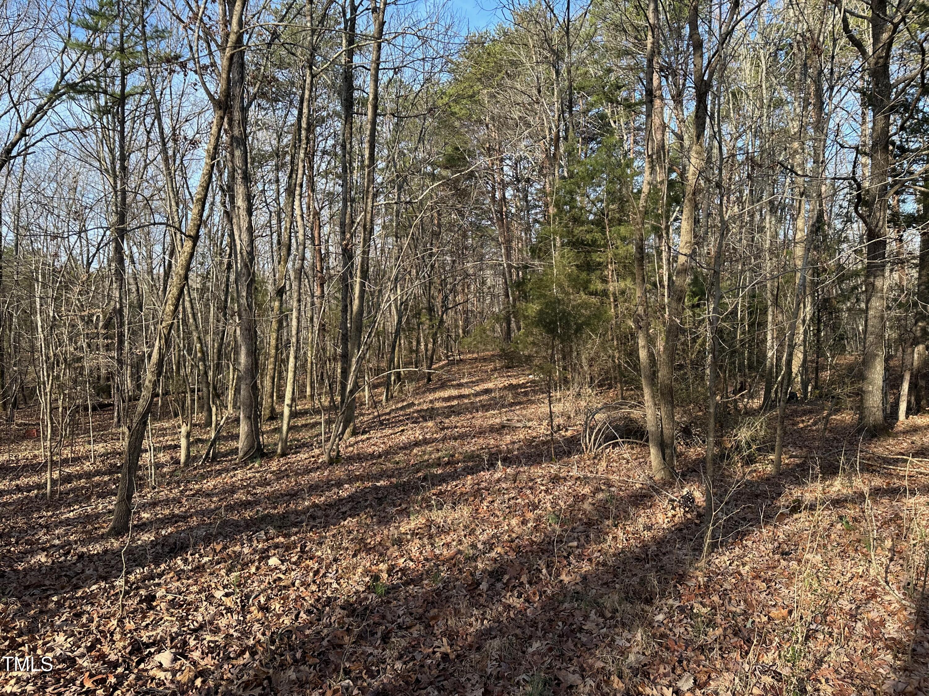0 Us 64 Highway Property Photo 18