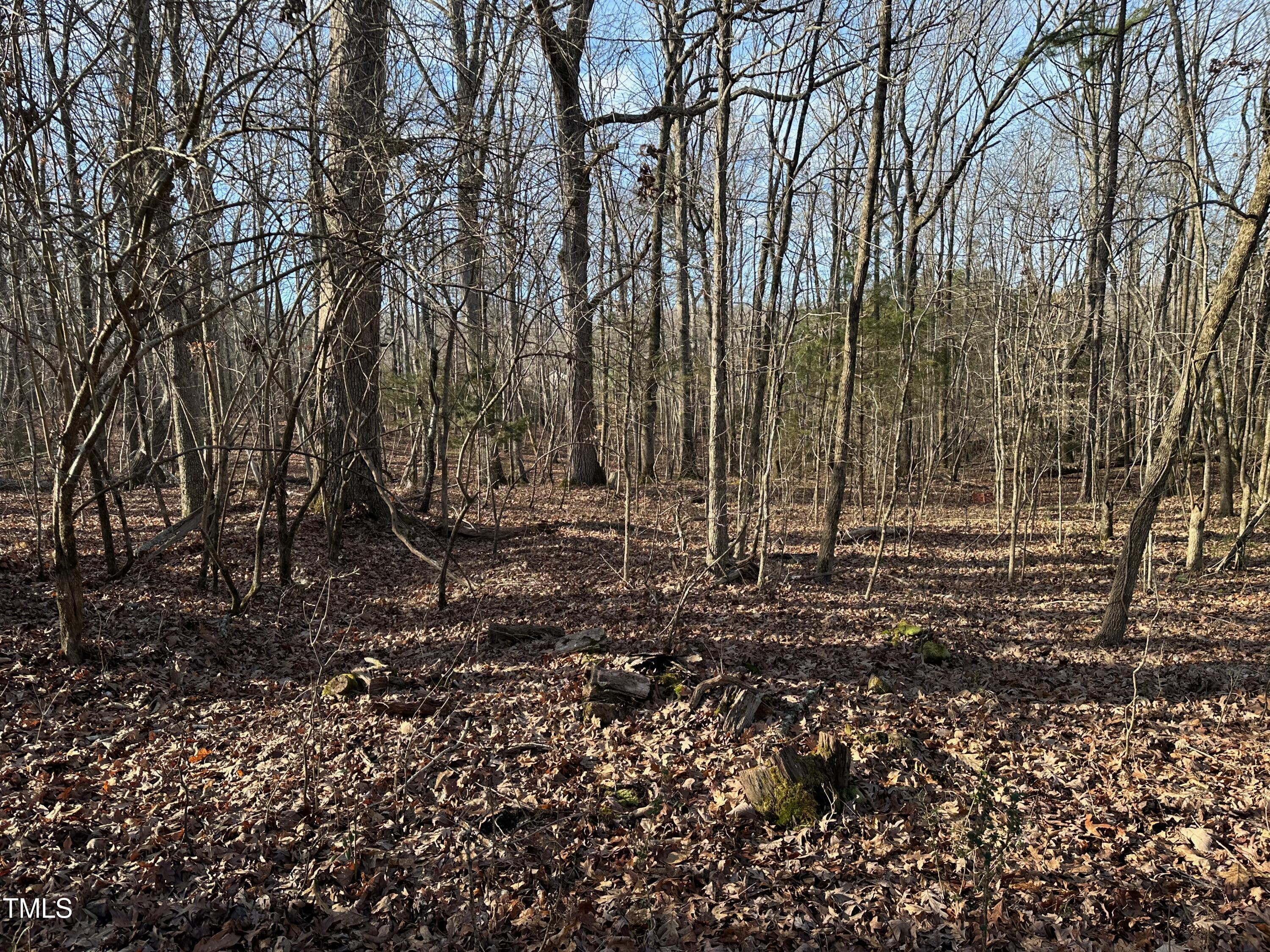 0 Us 64 Highway Property Photo 19