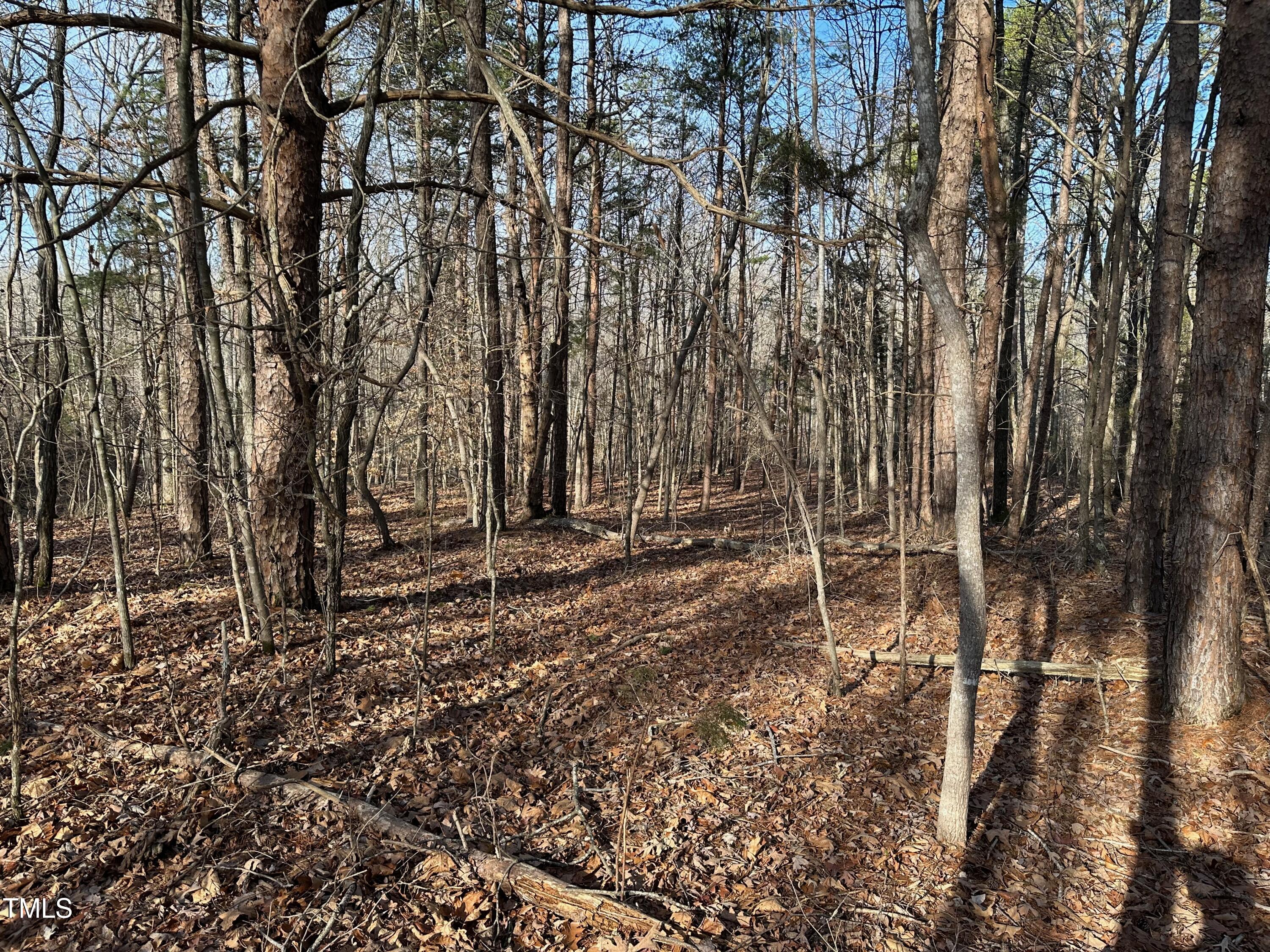 0 Us 64 Highway Property Photo 20