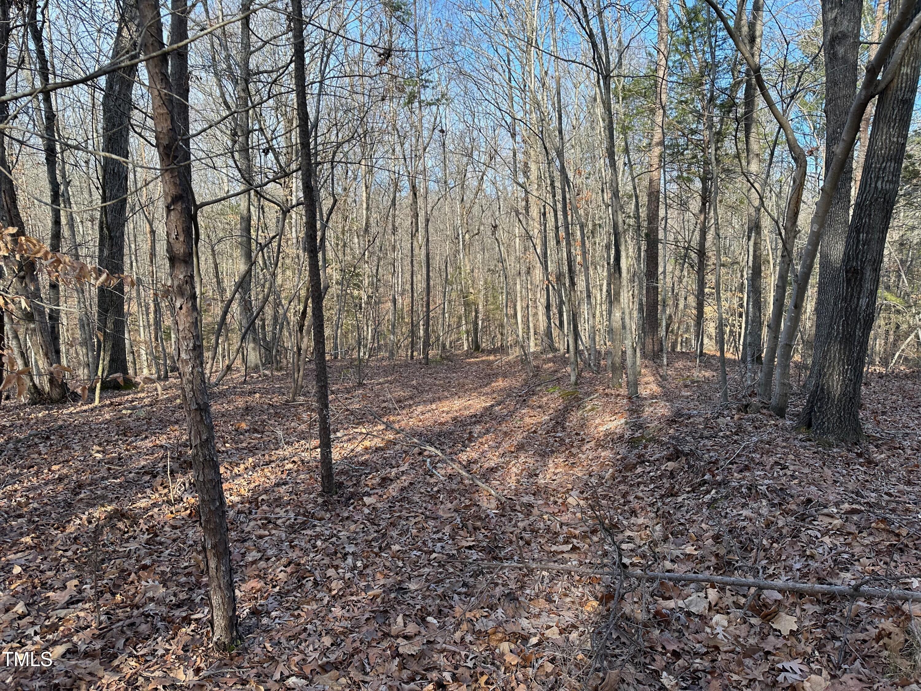 0 Us 64 Highway Property Photo 21