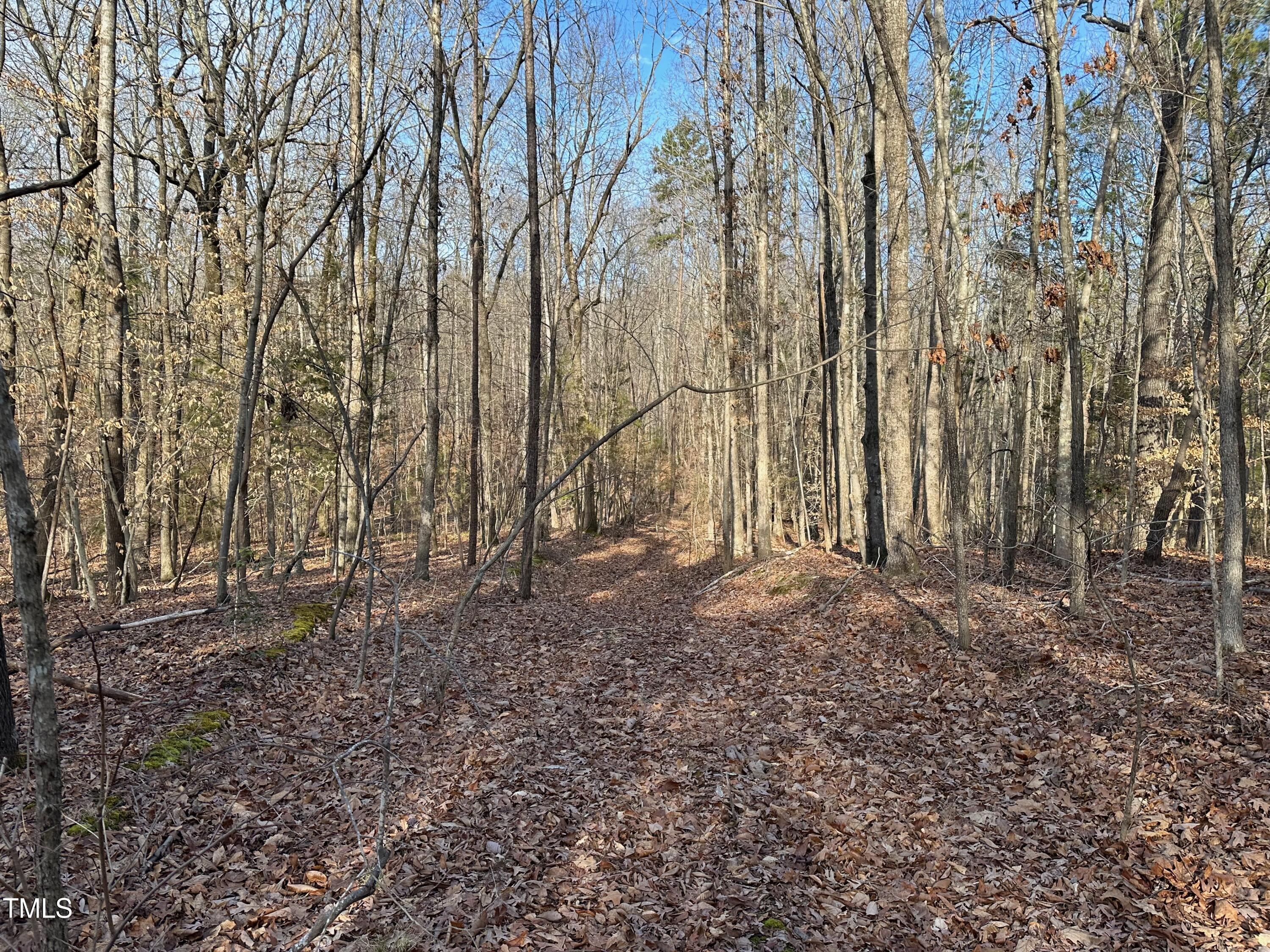 0 Us 64 Highway Property Photo 22