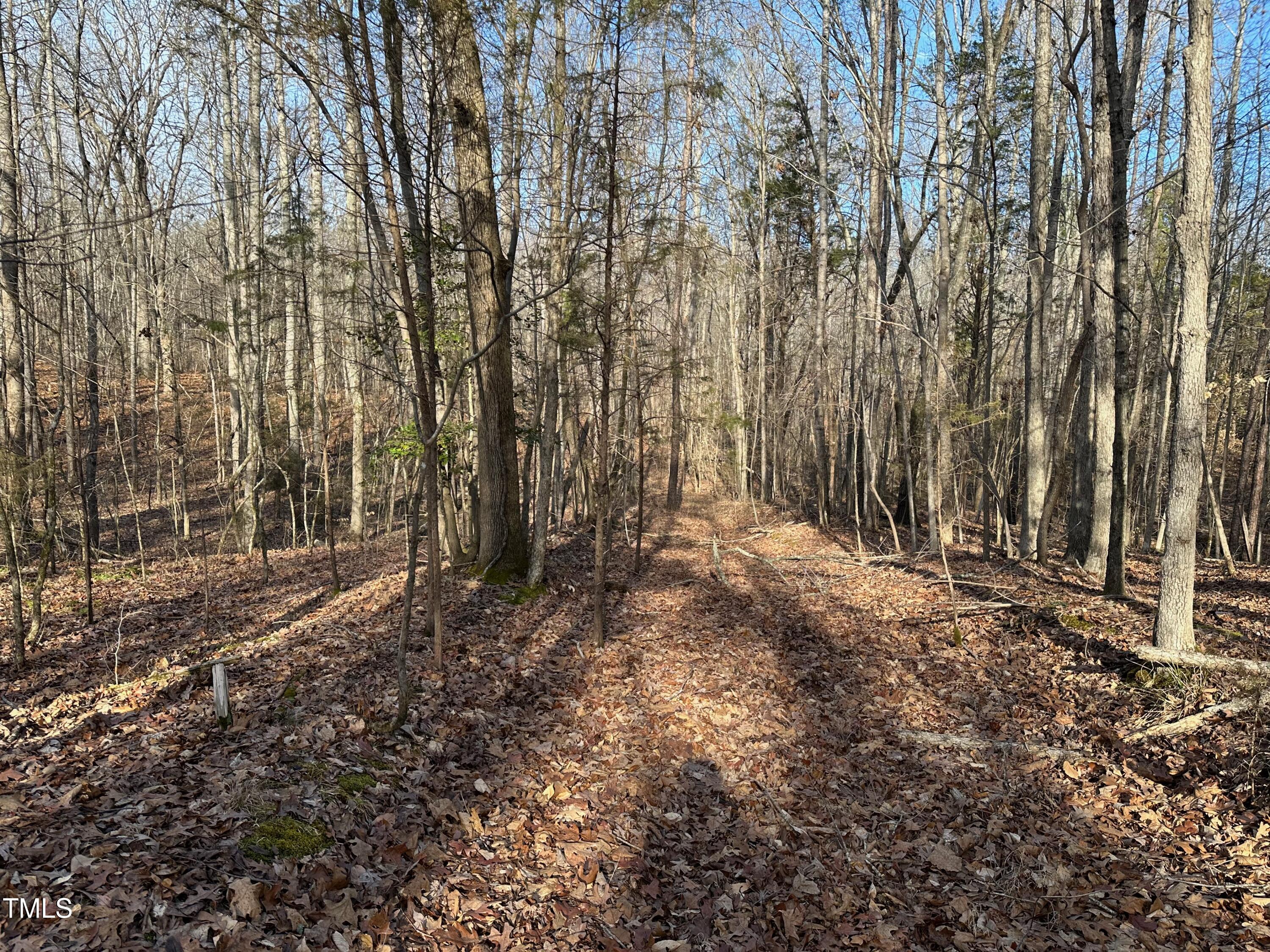 0 Us 64 Highway Property Photo 23
