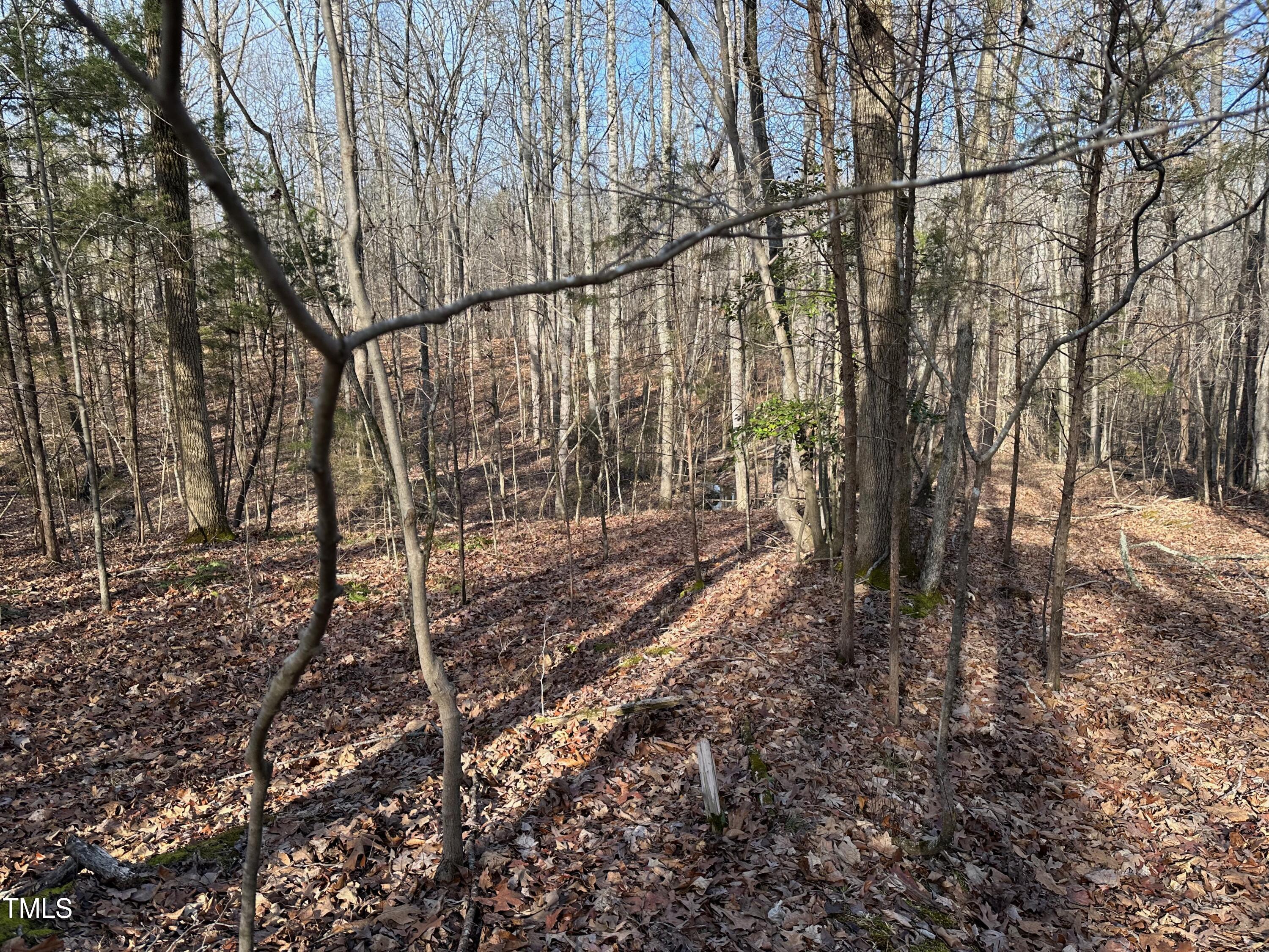 0 Us 64 Highway Property Photo 24