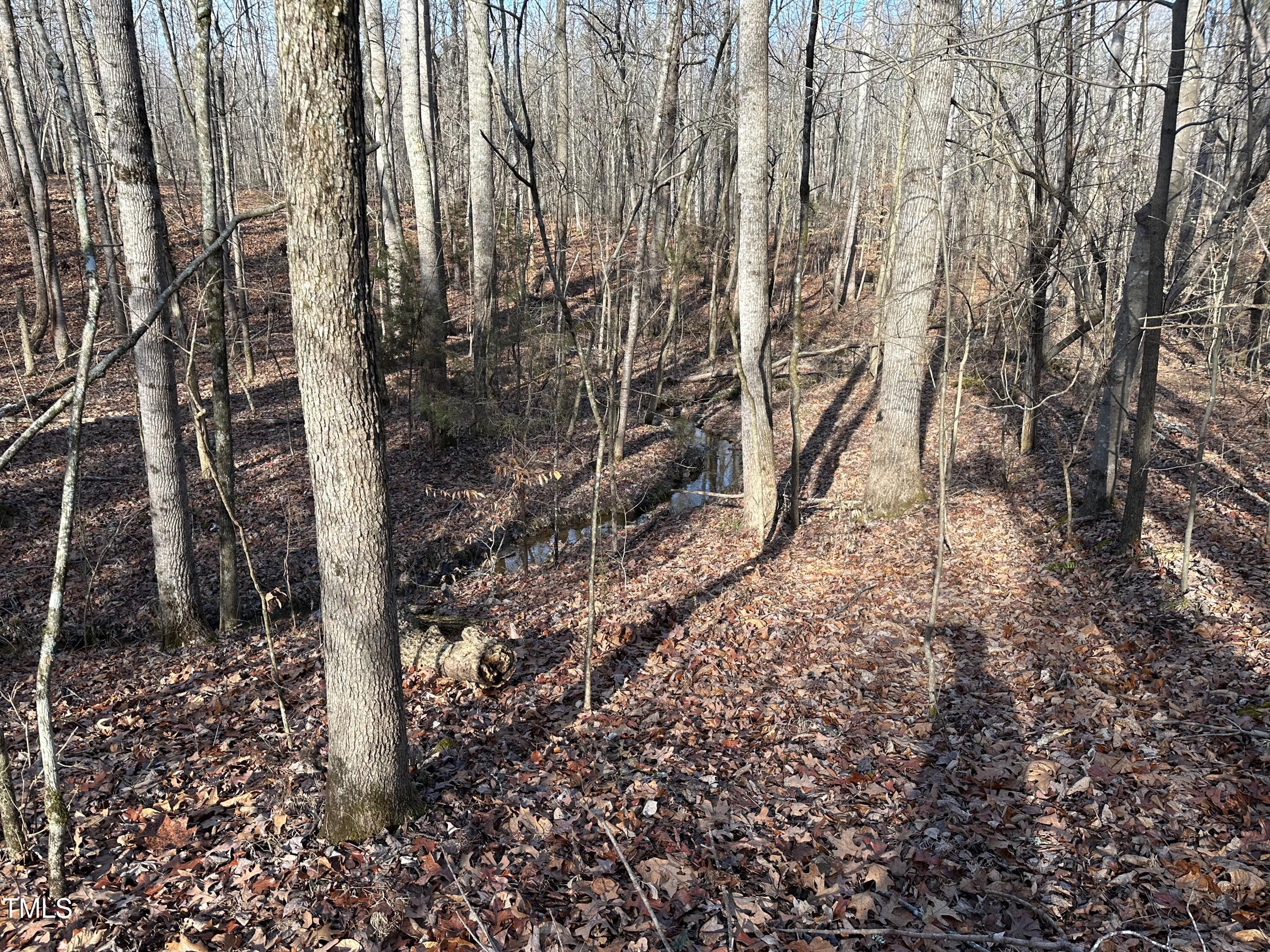 0 Us 64 Highway Property Photo 25