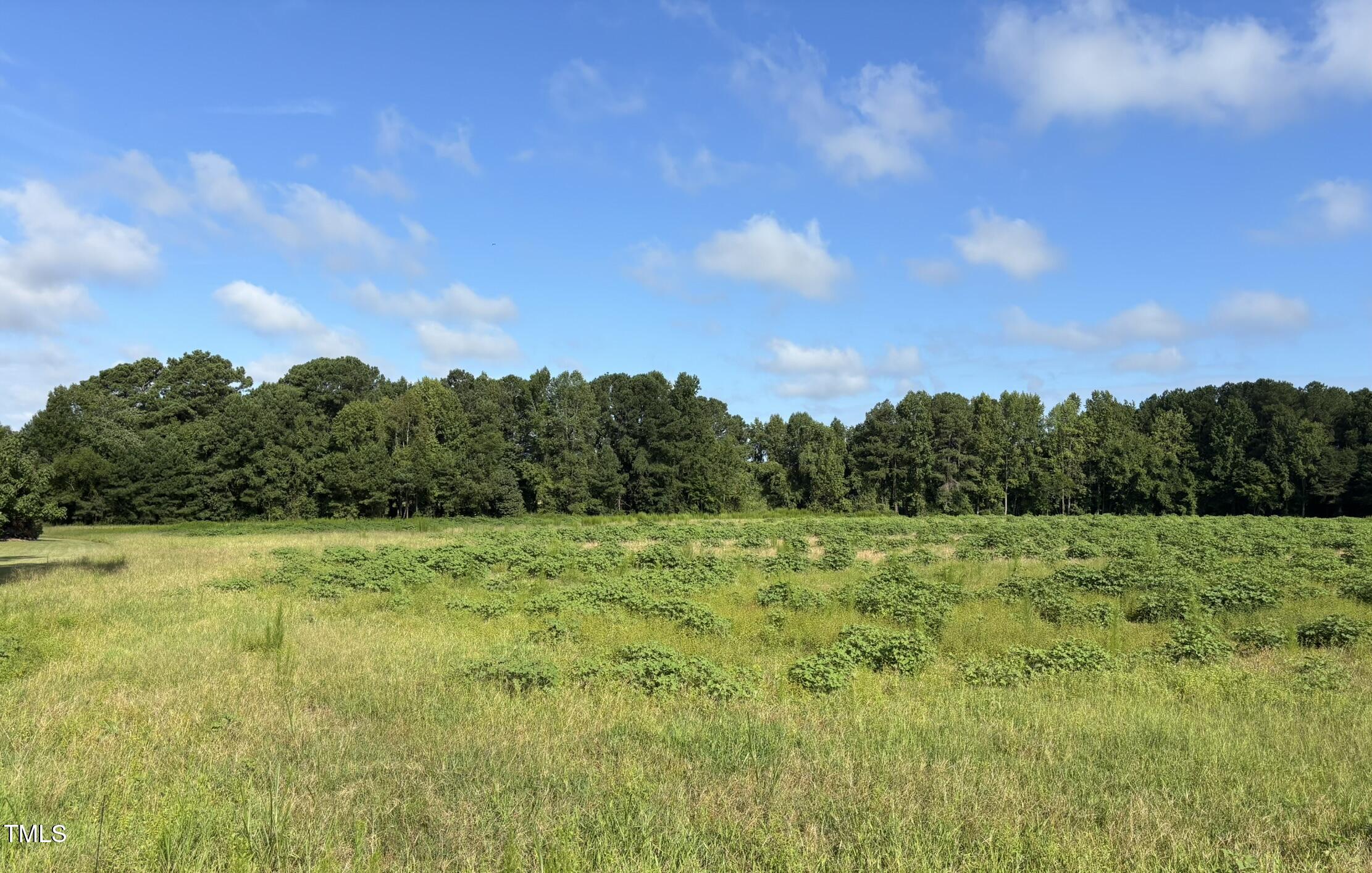 2276 Castleberry Road Property Photo 3