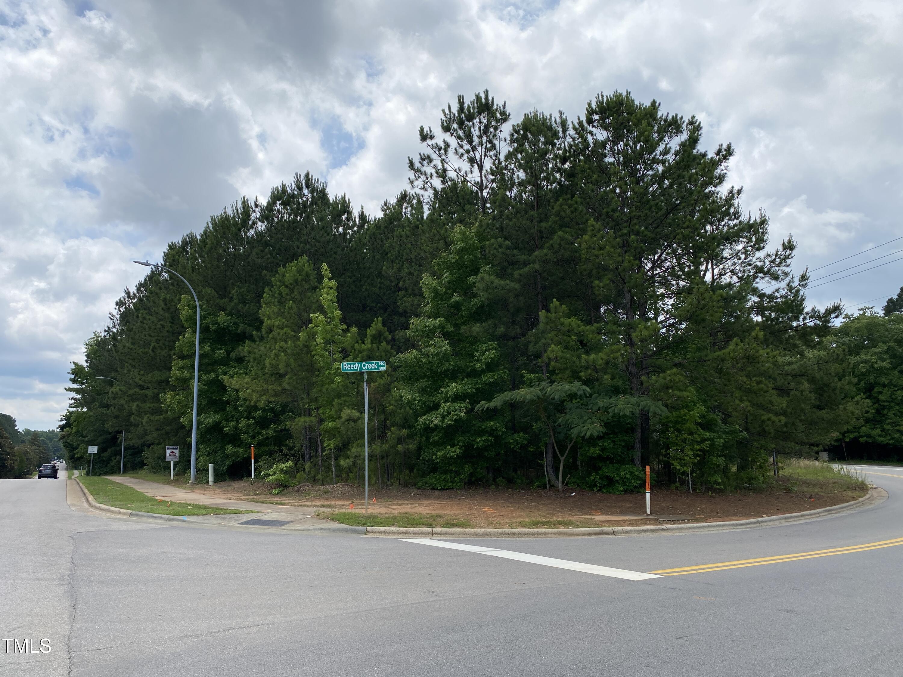 650 Reedy Creek Road Property Photo 1