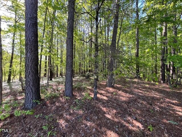 4300-4304 Cheek Road Property Photo 3