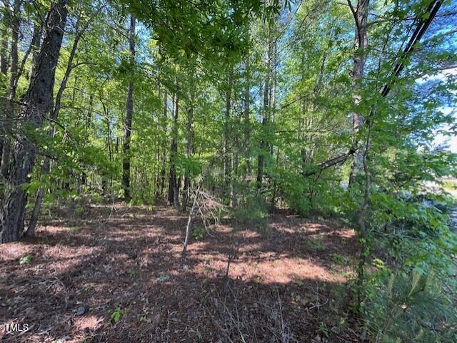 4300-4304 Cheek Road Property Photo 5