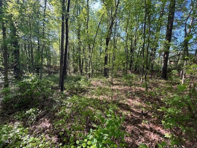4300-4304 Cheek Road Property Photo 8