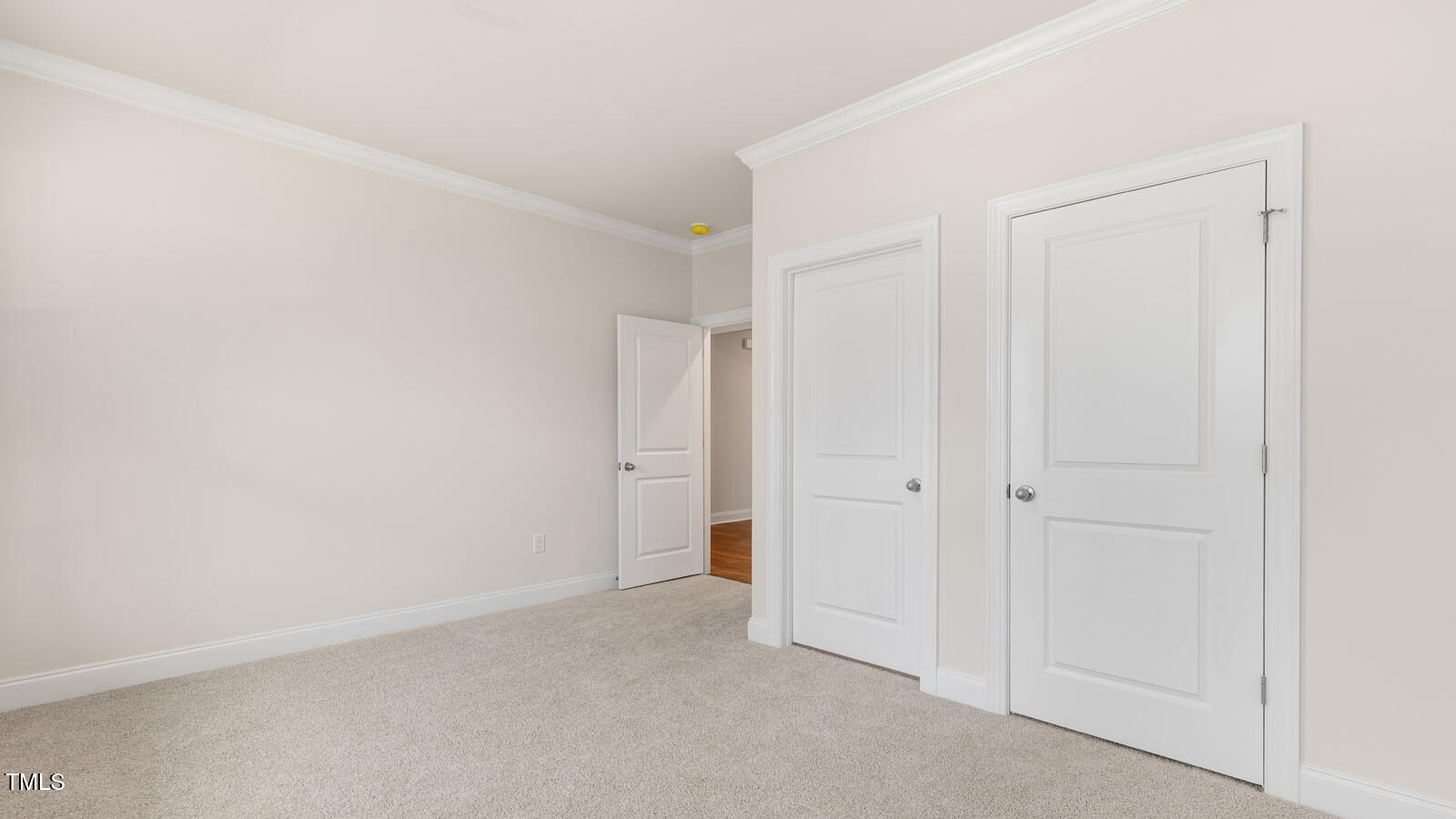 55 Pink Iris Court Property Photo 10