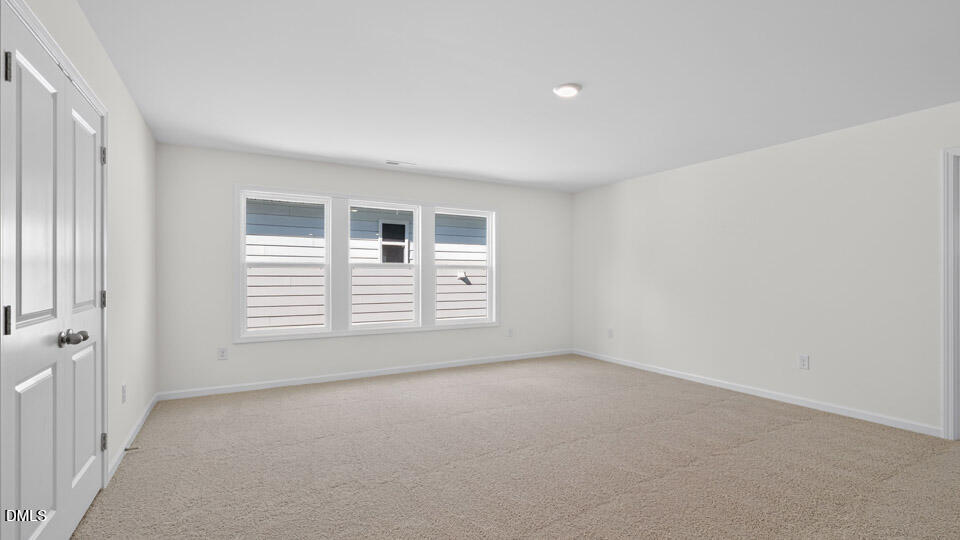 49 West Fire Opal Court Property Photo 16