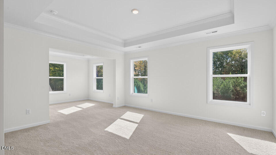 49 West Fire Opal Court Property Photo 17